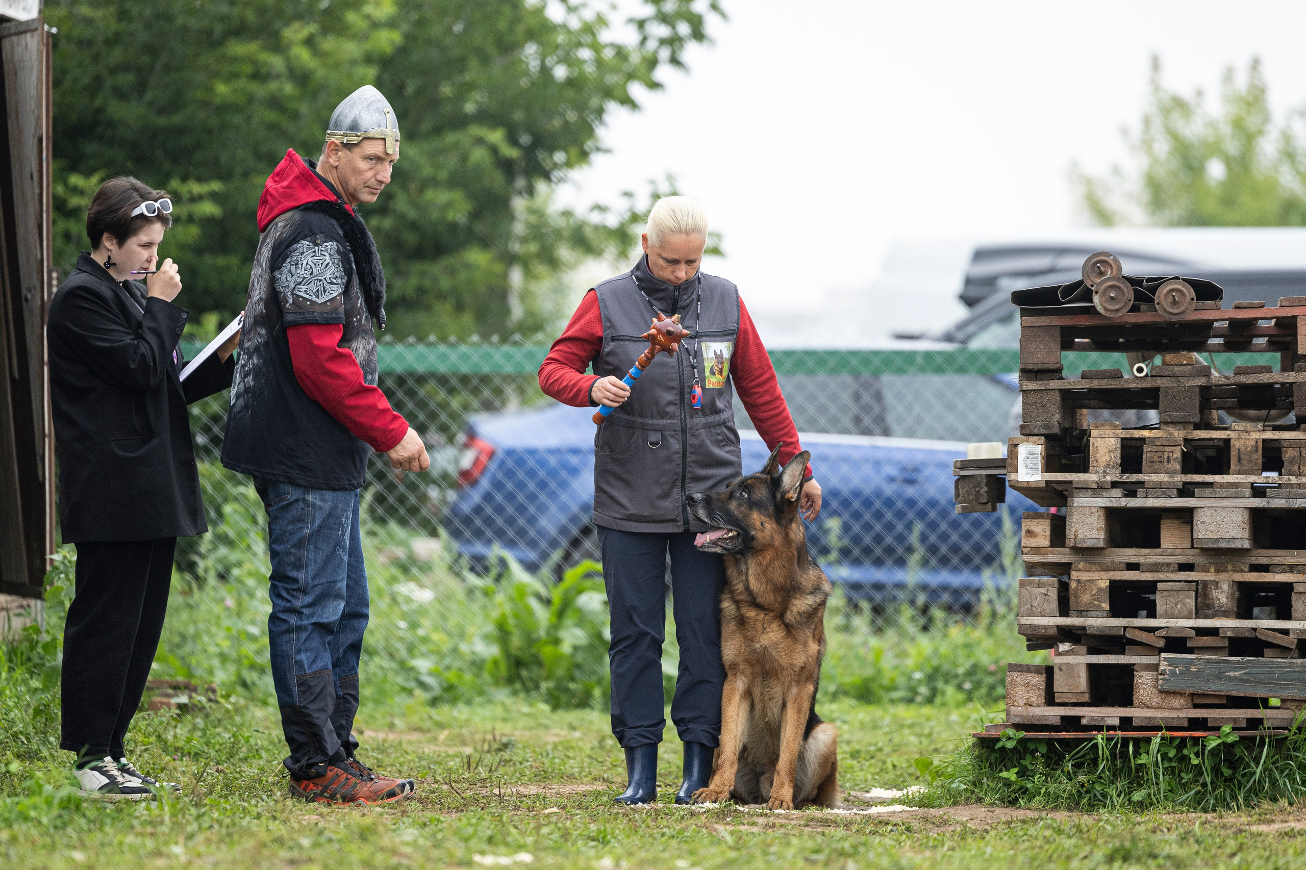 Соревнования по Мондьорингу г. Вологда 10-11.08.2024. Фотограф-анималист Анна Маринич
