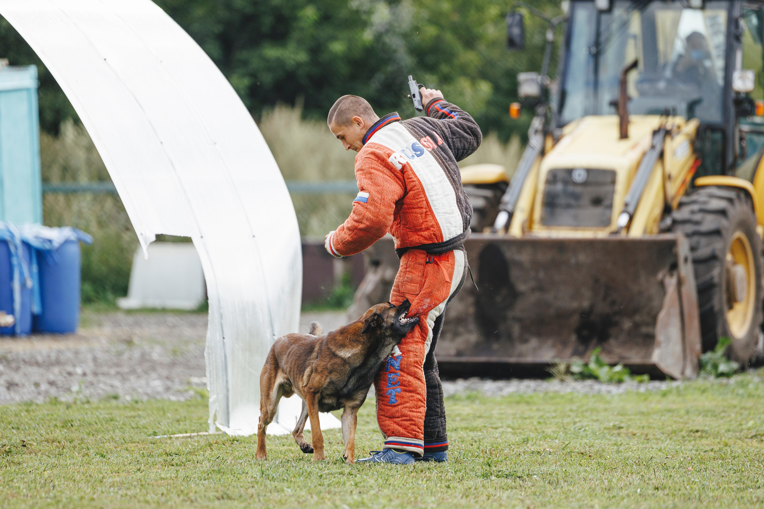 08.08.25-10.08.25 ЧР по мондьорингу г. Вологда. Фотограф-анималист Анна Маринич