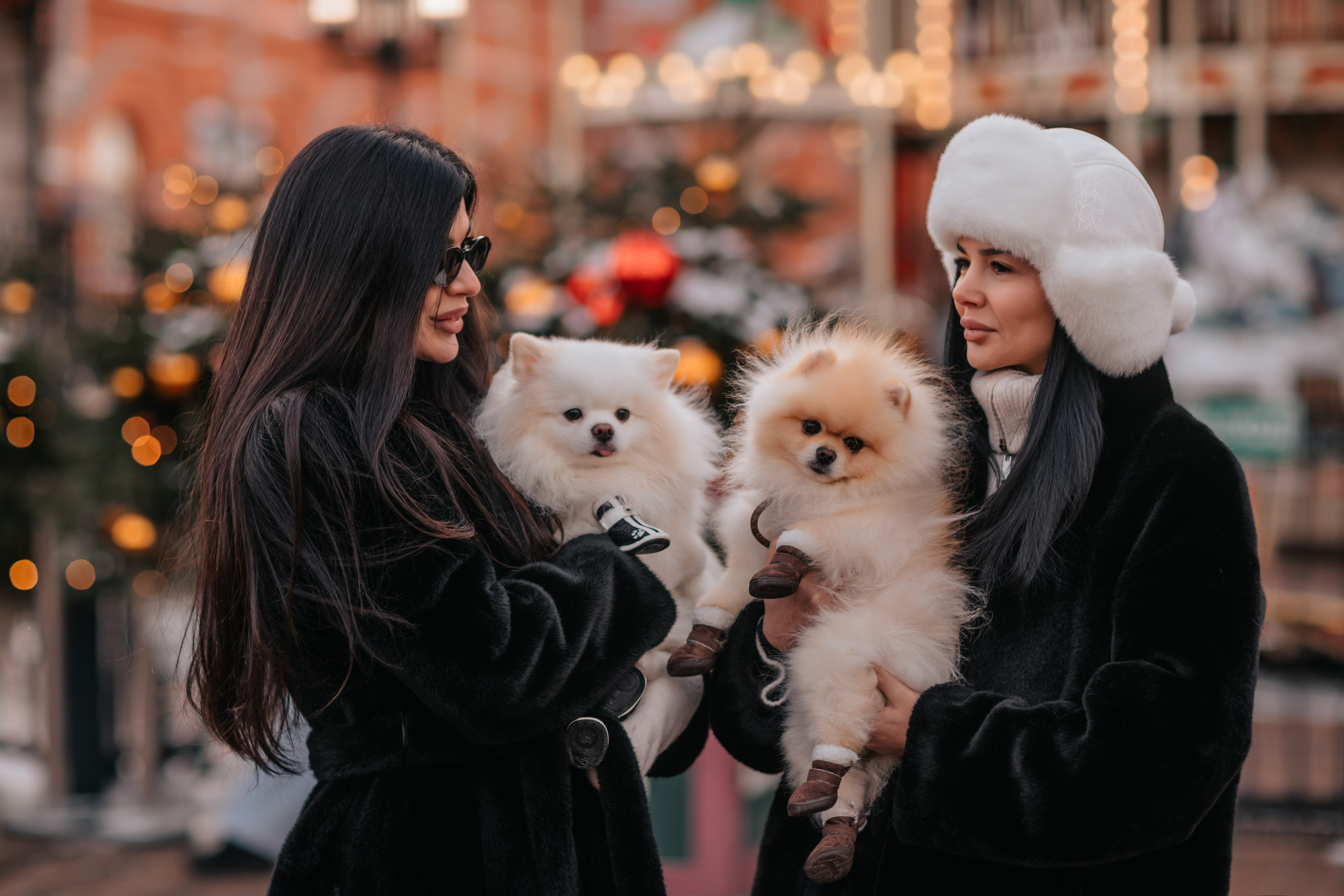Эмилия, Микуся и семья. Семейный фотограф анималист Мария Крючкова
