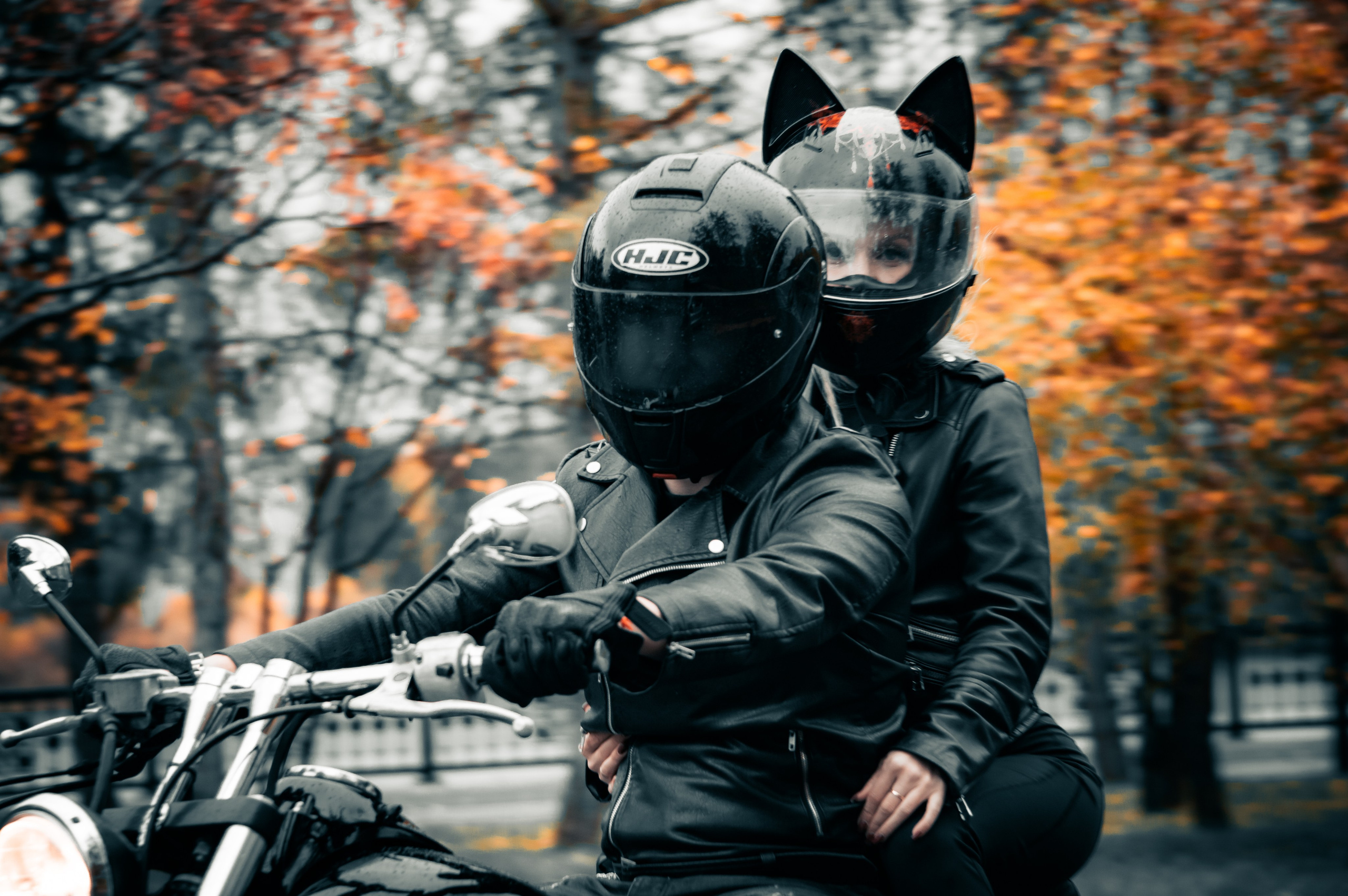 Последние дни осени. G G L V D M T R | Фотограф в Красноярске