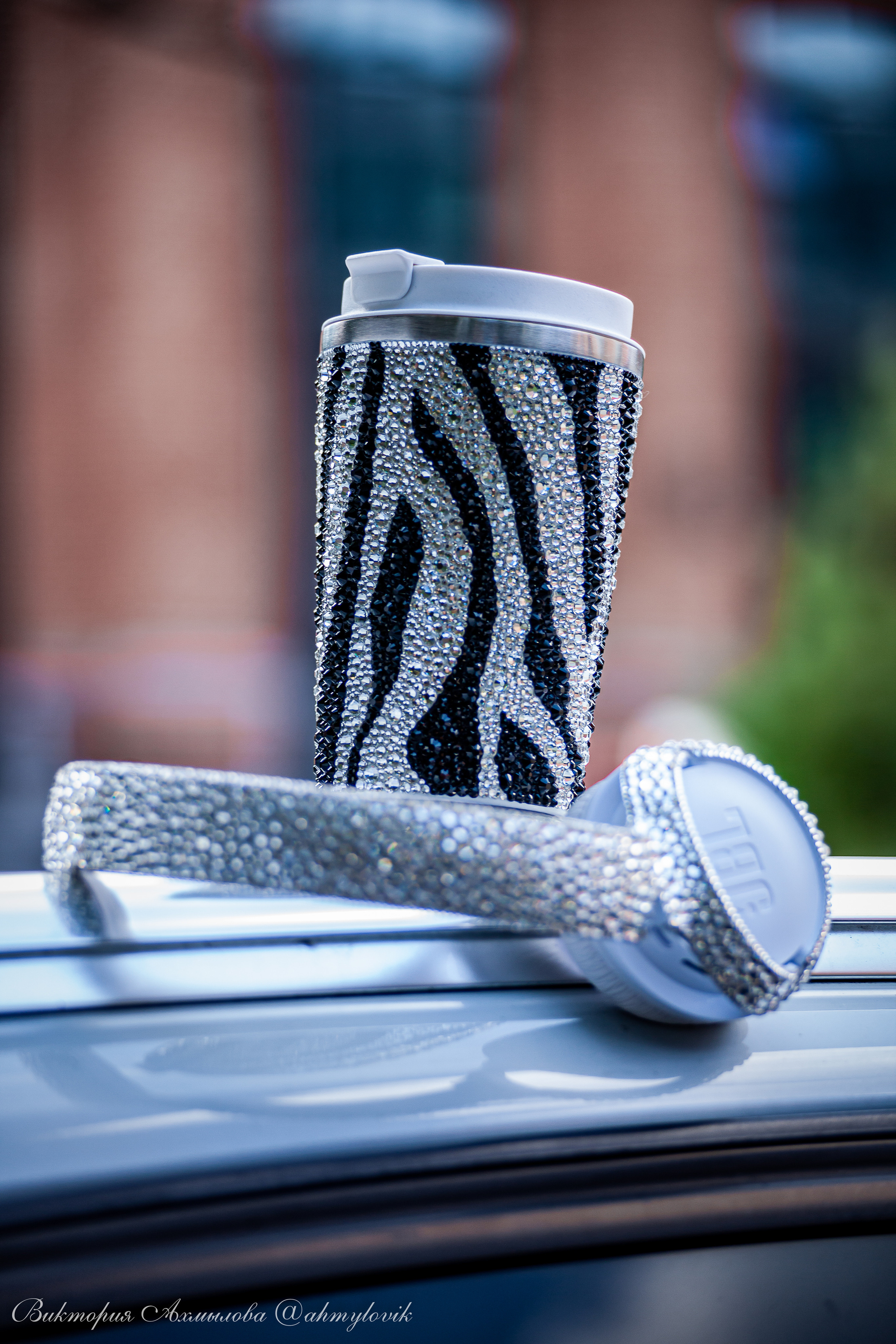 Абрамова Анастасия и Стразы. Виктория Ахмылова. Фотограф в Москве