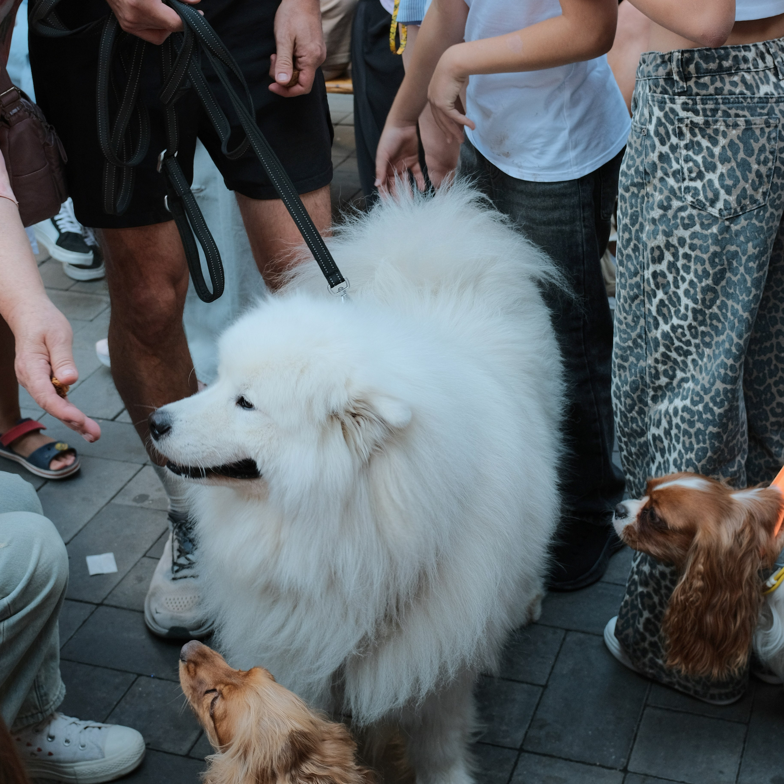 Rostov-on-Don. Creative travel photographer — Berg Daria