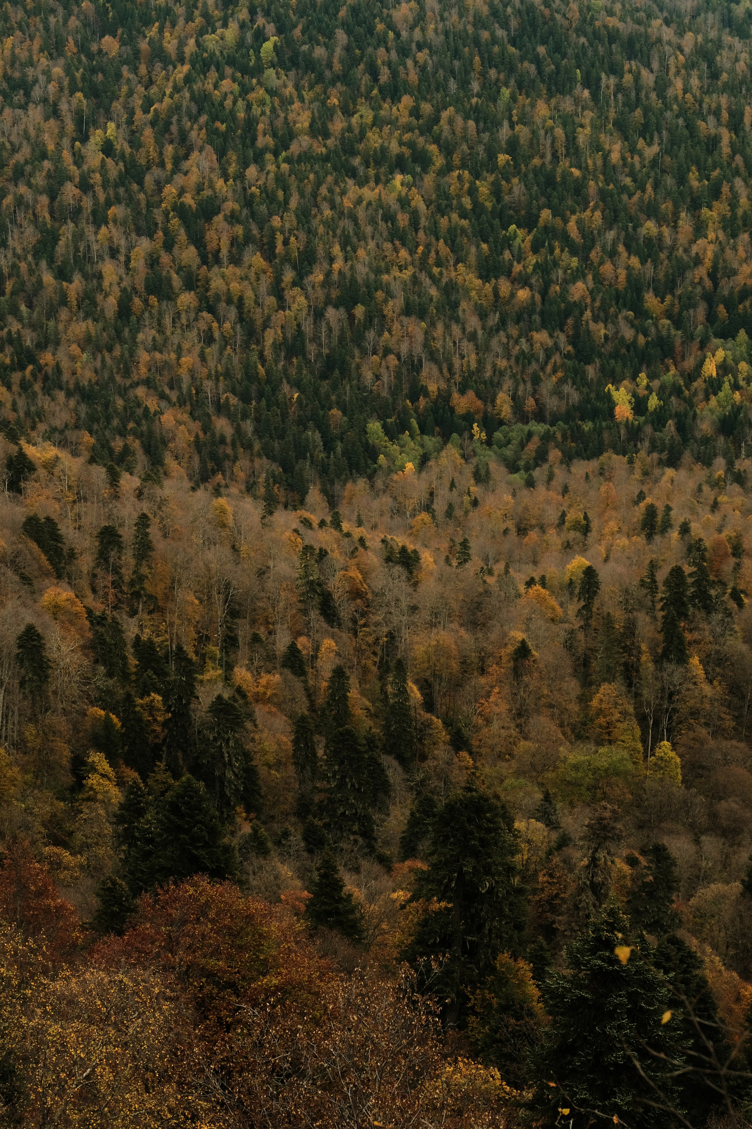 Arkhyz. Creative travel photographer — Berg Daria