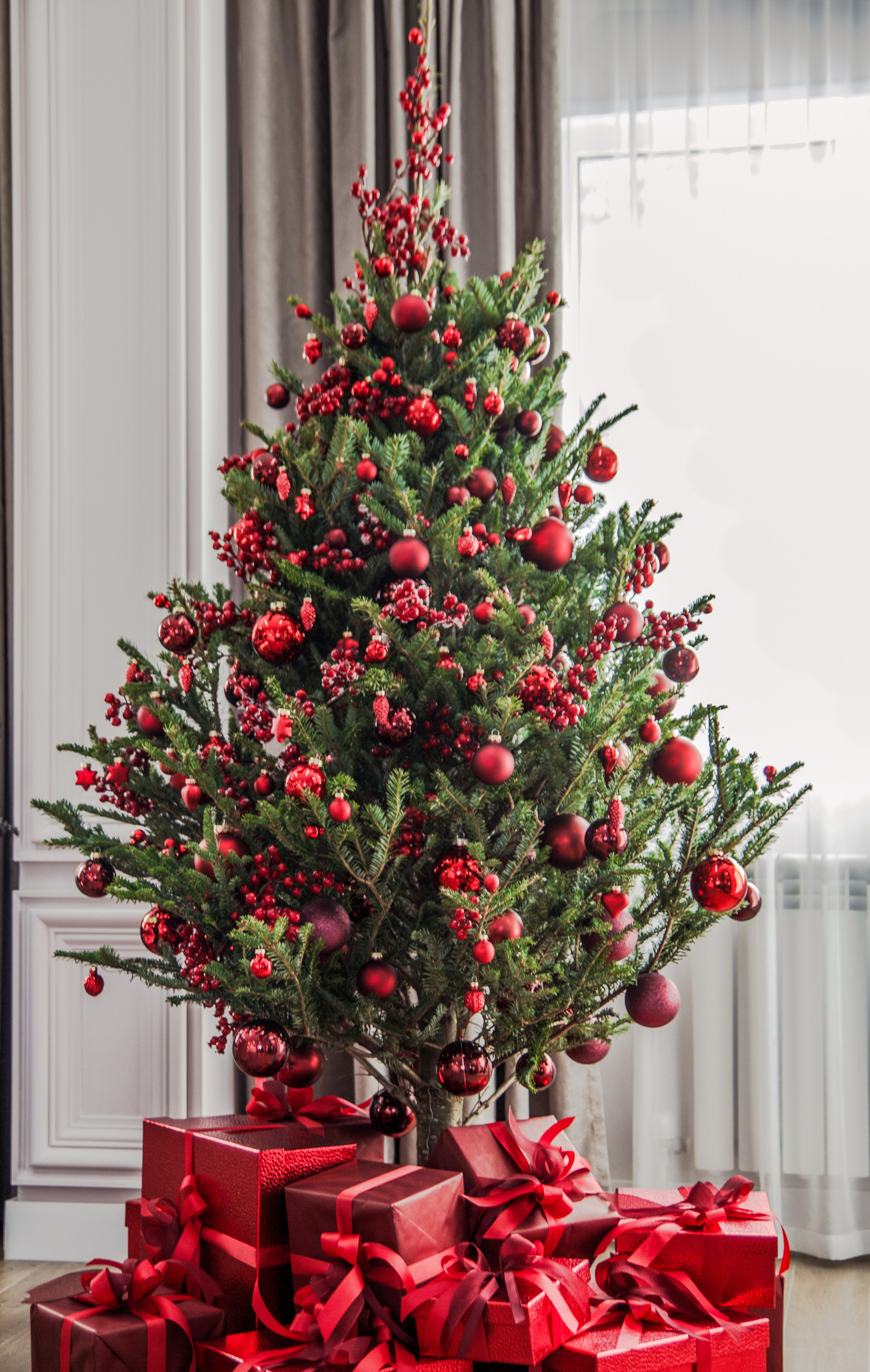 Тисс 2021. Ксения Почтарь. Декоратор и флорист, город Владивосток