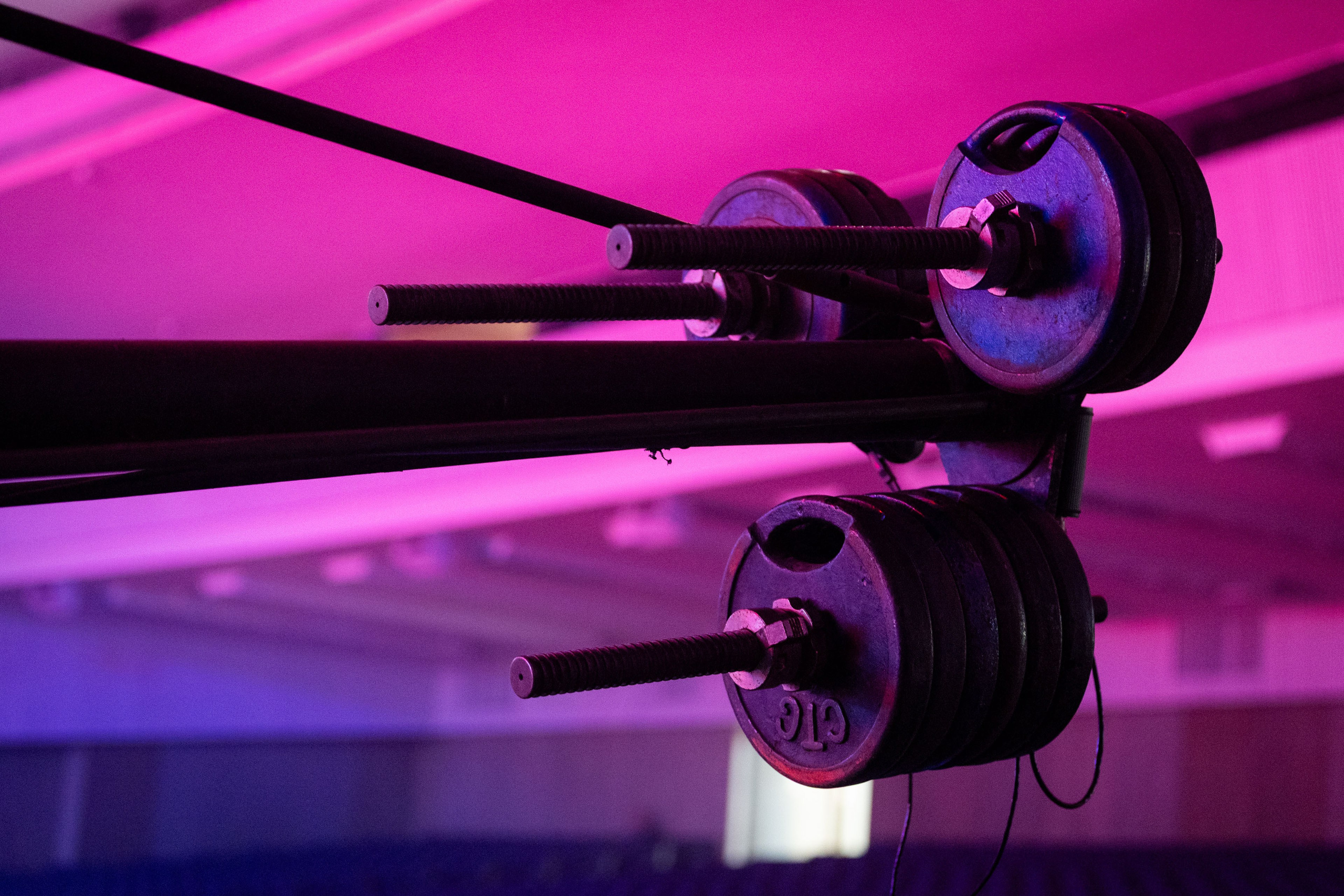 Газманов-Родники. Фотограф Виноградов Константин