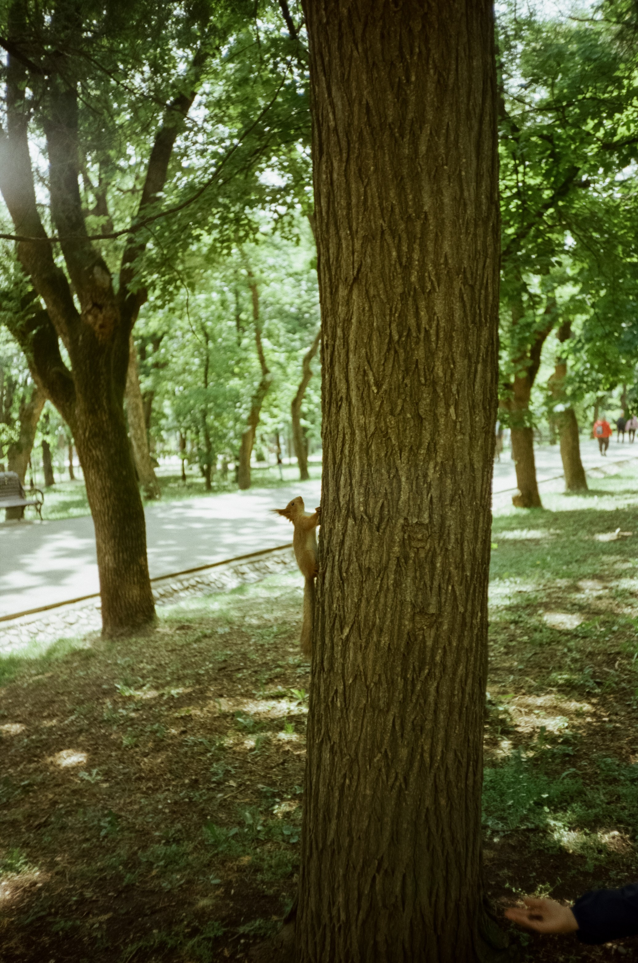 Курортный парк Ессентуков. Прогулка. Фотограф-документалист Мария Осокина