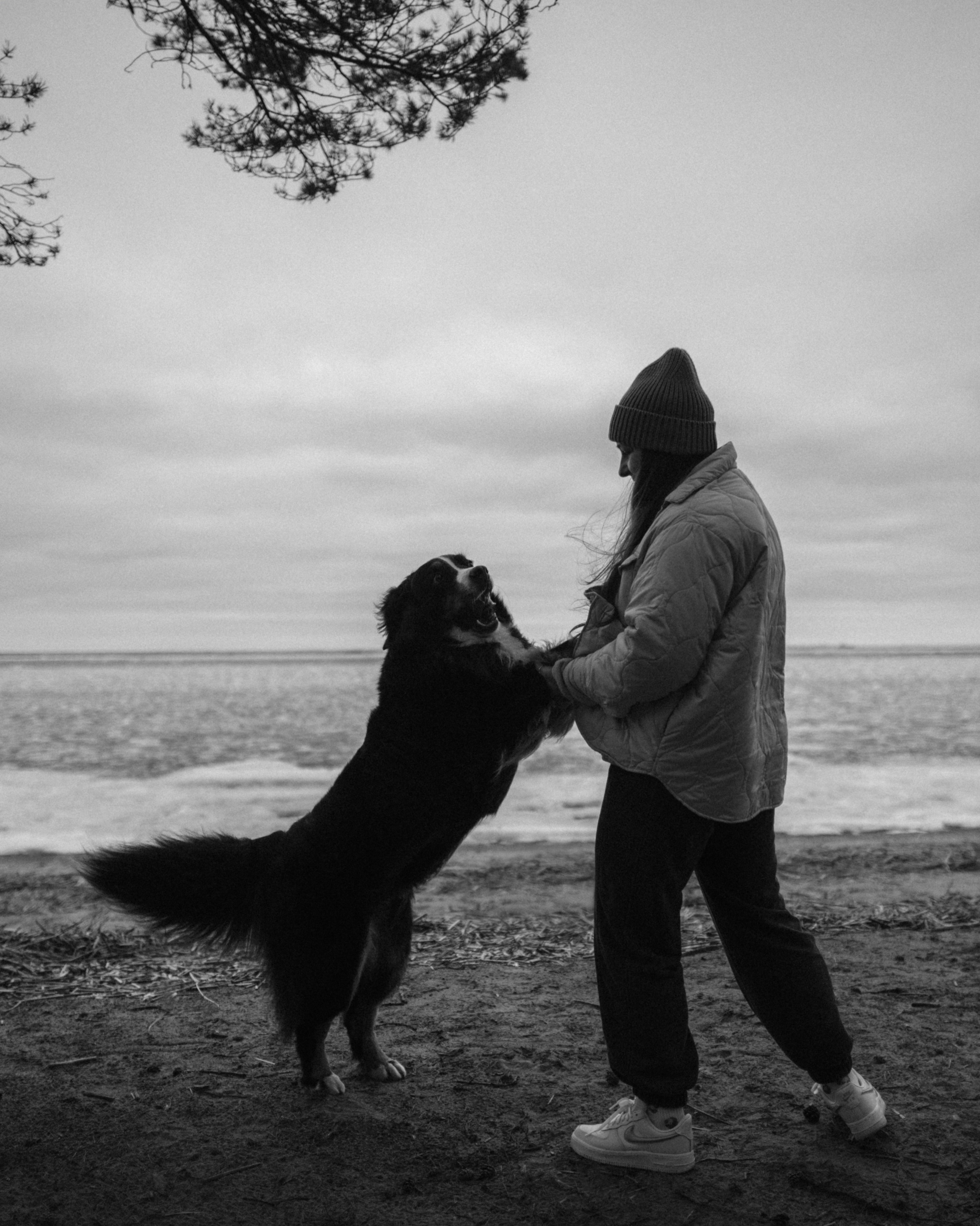 Прогулка: берн Пума, Фрэнк и Юля в Питере. Портфолио