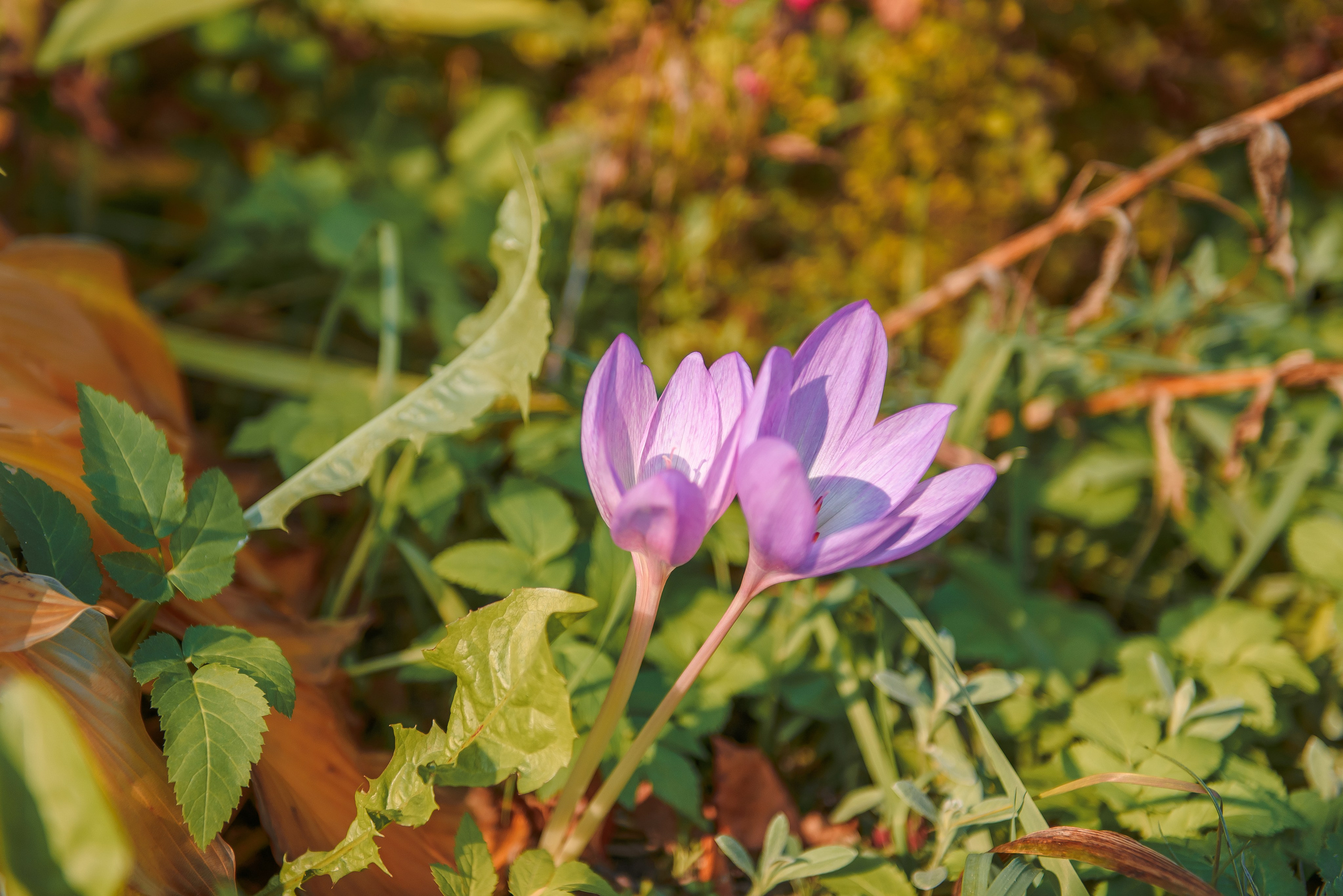 Крещение Макара. Свадебный и семейный фотограф в Москве Юлия Винник