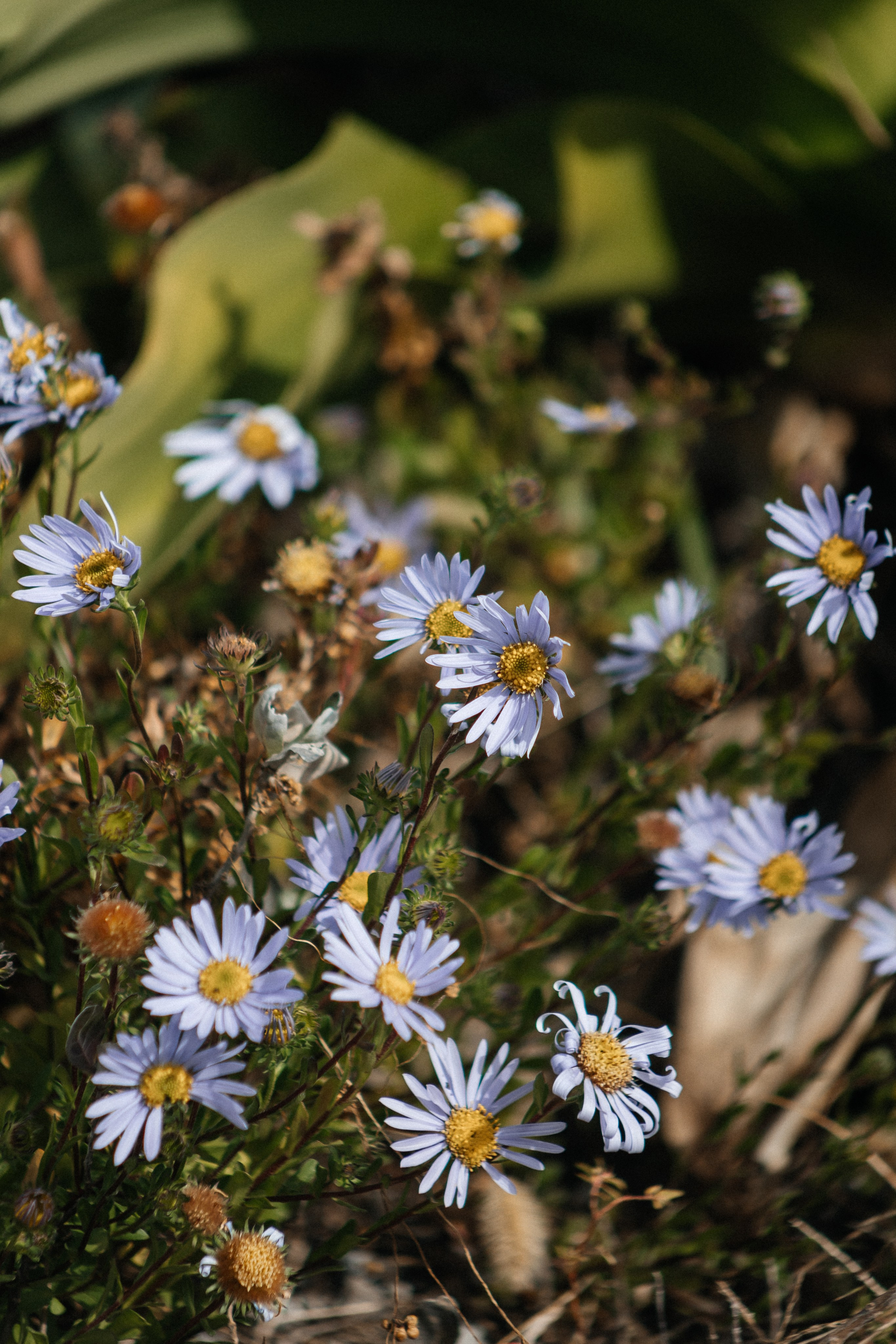 Jeju, South Korea. Свадебный фотограф Москва и МО Паншина Дарья