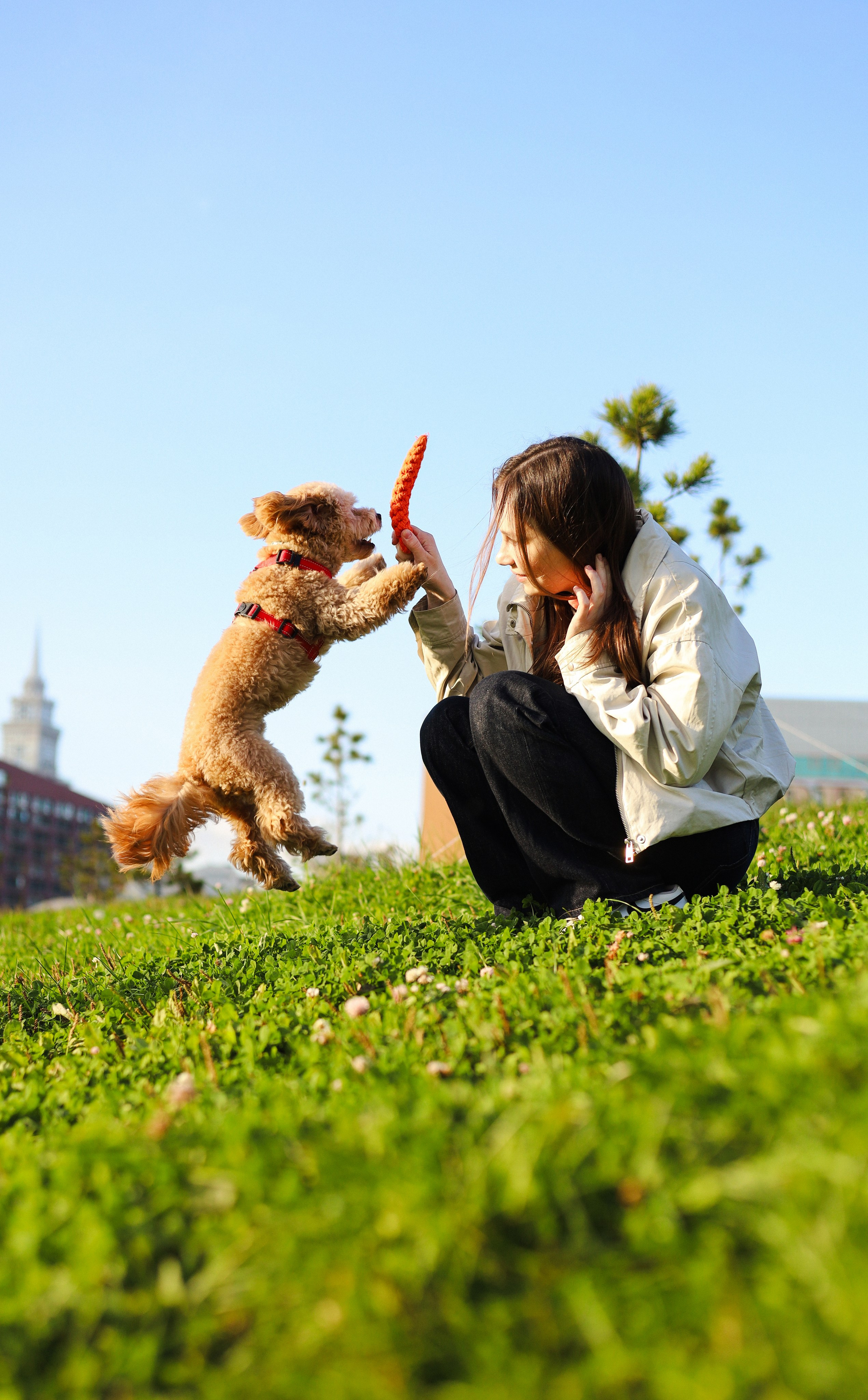 Поршик и Ксения. Фотограф-анималист Ксения Шевцова|Москва