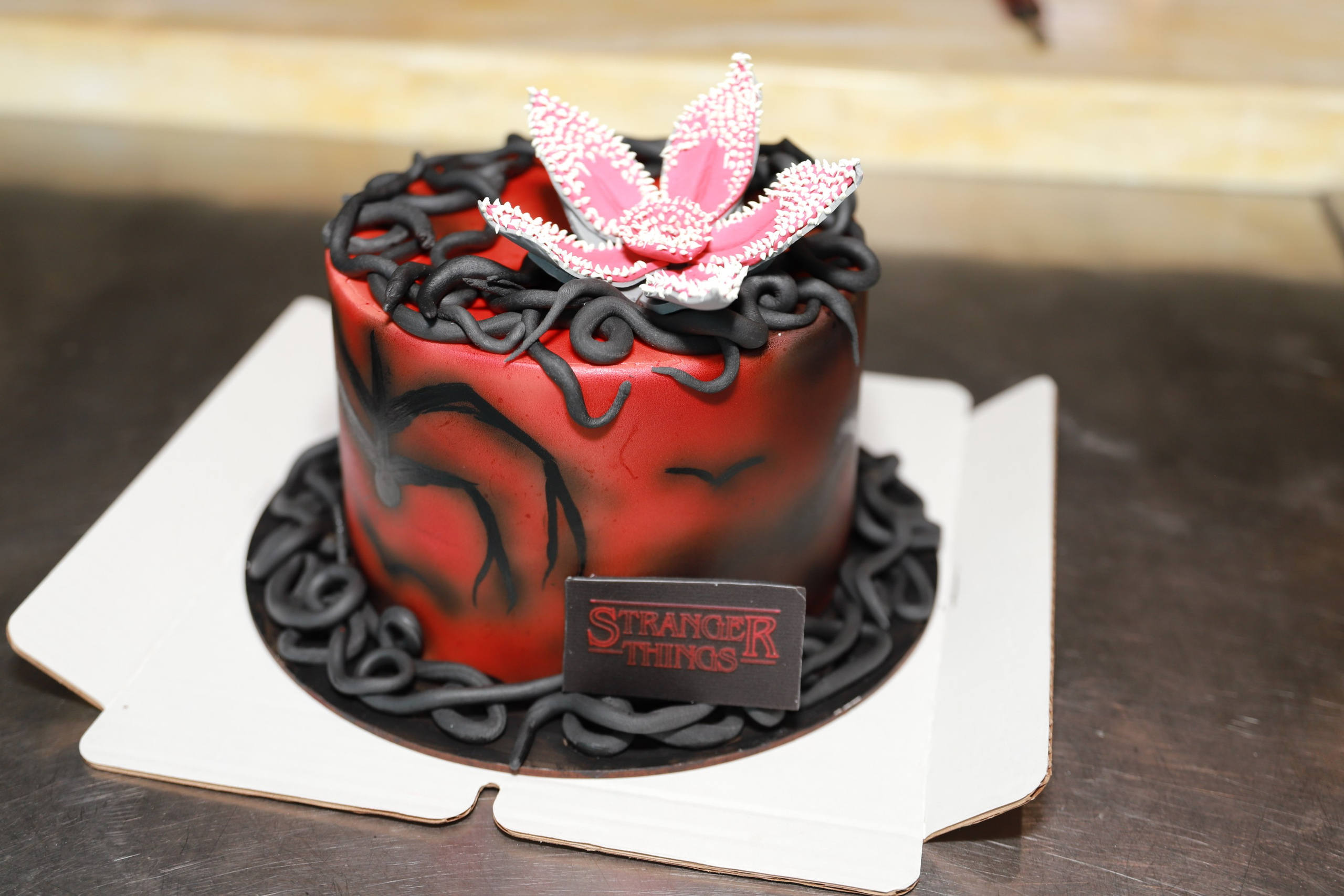 Др Дарины в Гастроинкубаторе. Фотограф Юлия Мальцева