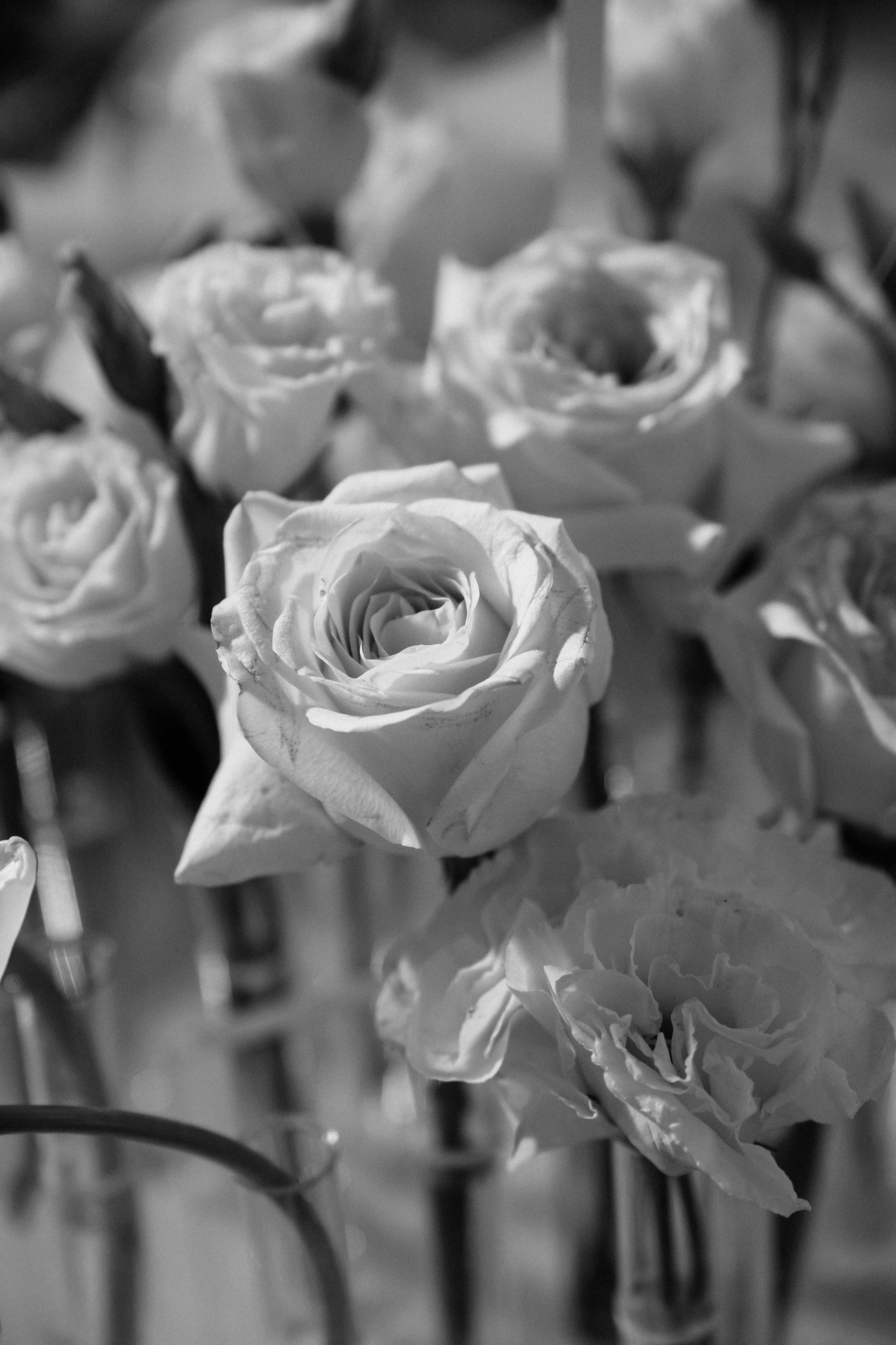 White Story. Свадебный организатор Екатеринбург