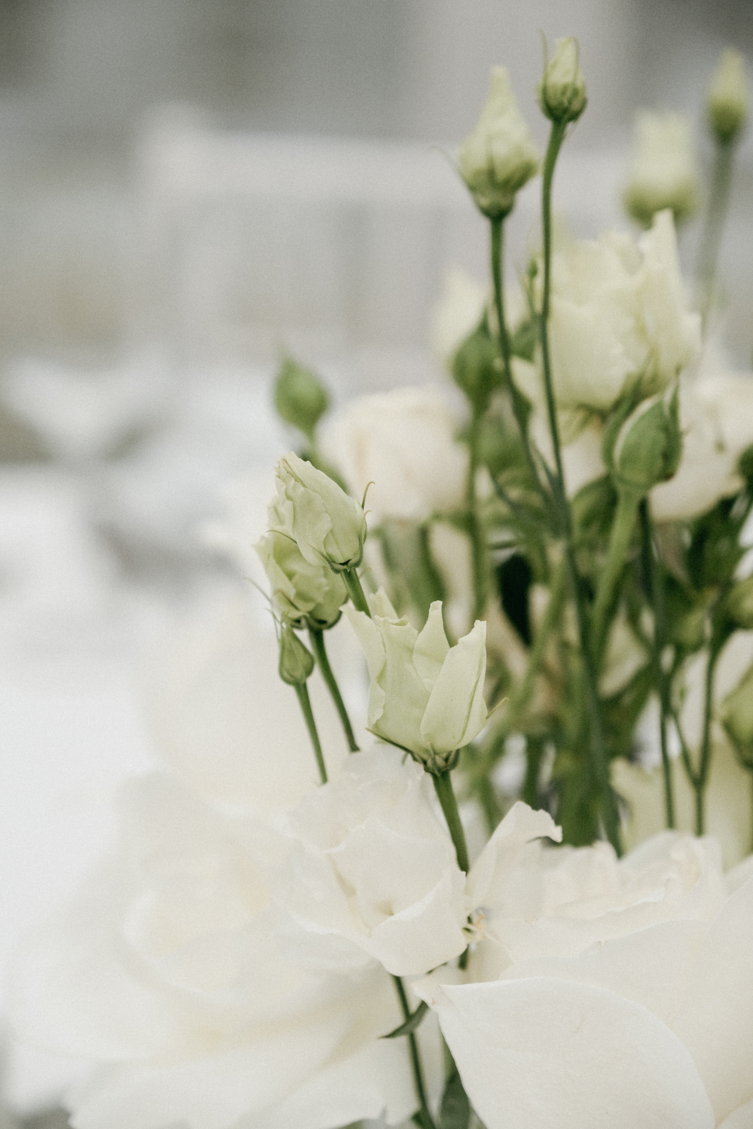 Light classic. Свадебный организатор Екатеринбург