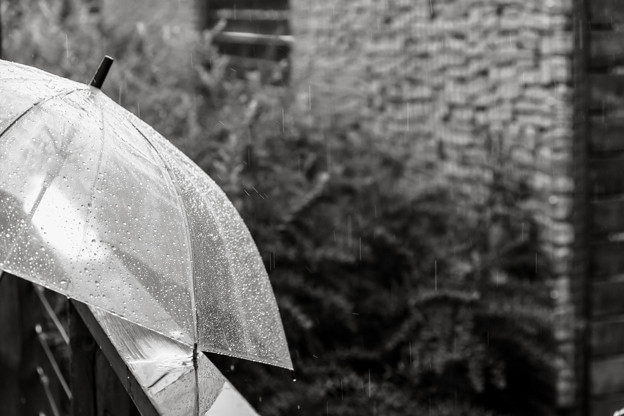 31.07 Роман и Анастасия. Свадебный организатор Екатеринбург