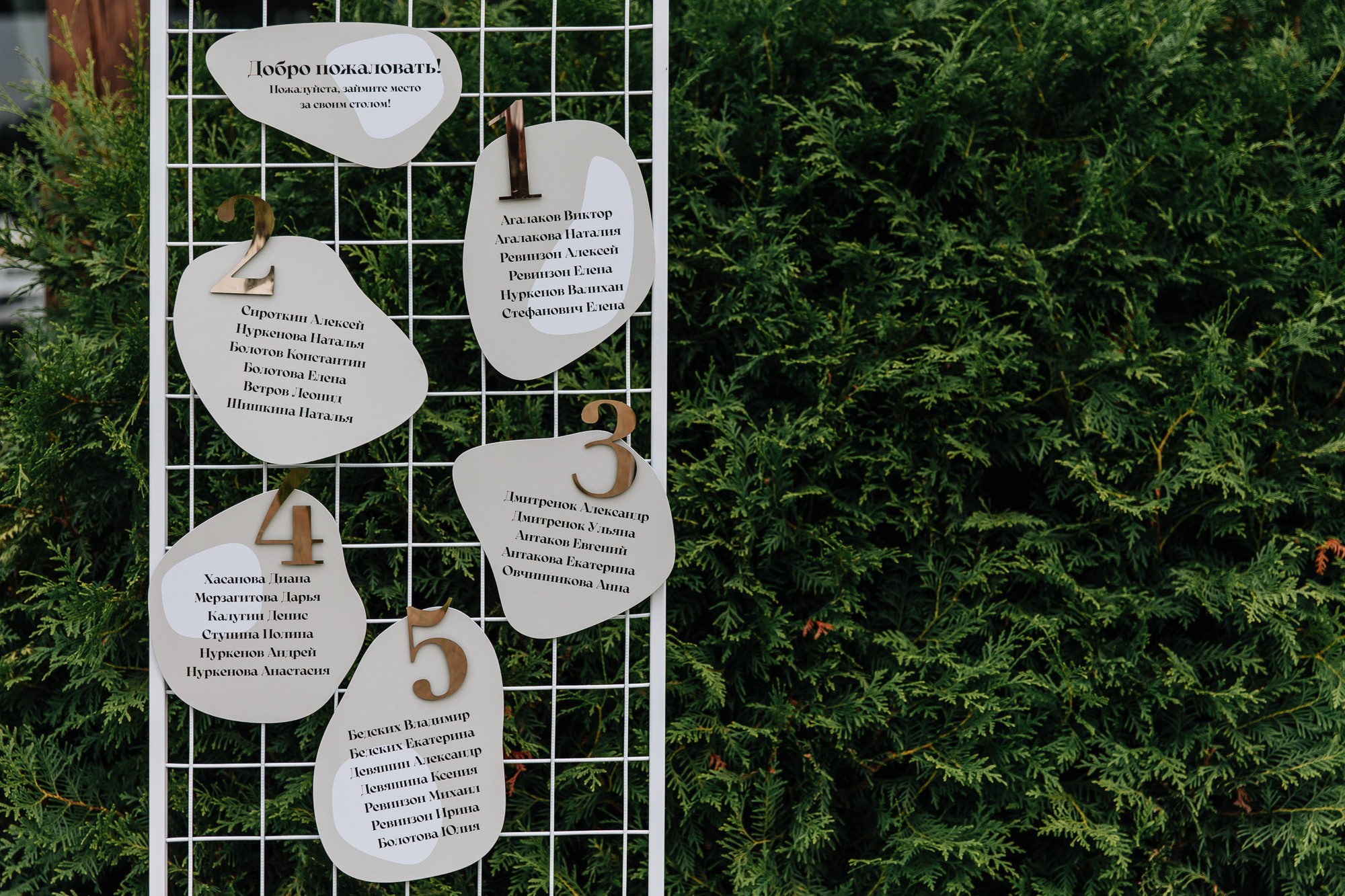 31.07 Роман и Анастасия. Свадебный организатор Екатеринбург