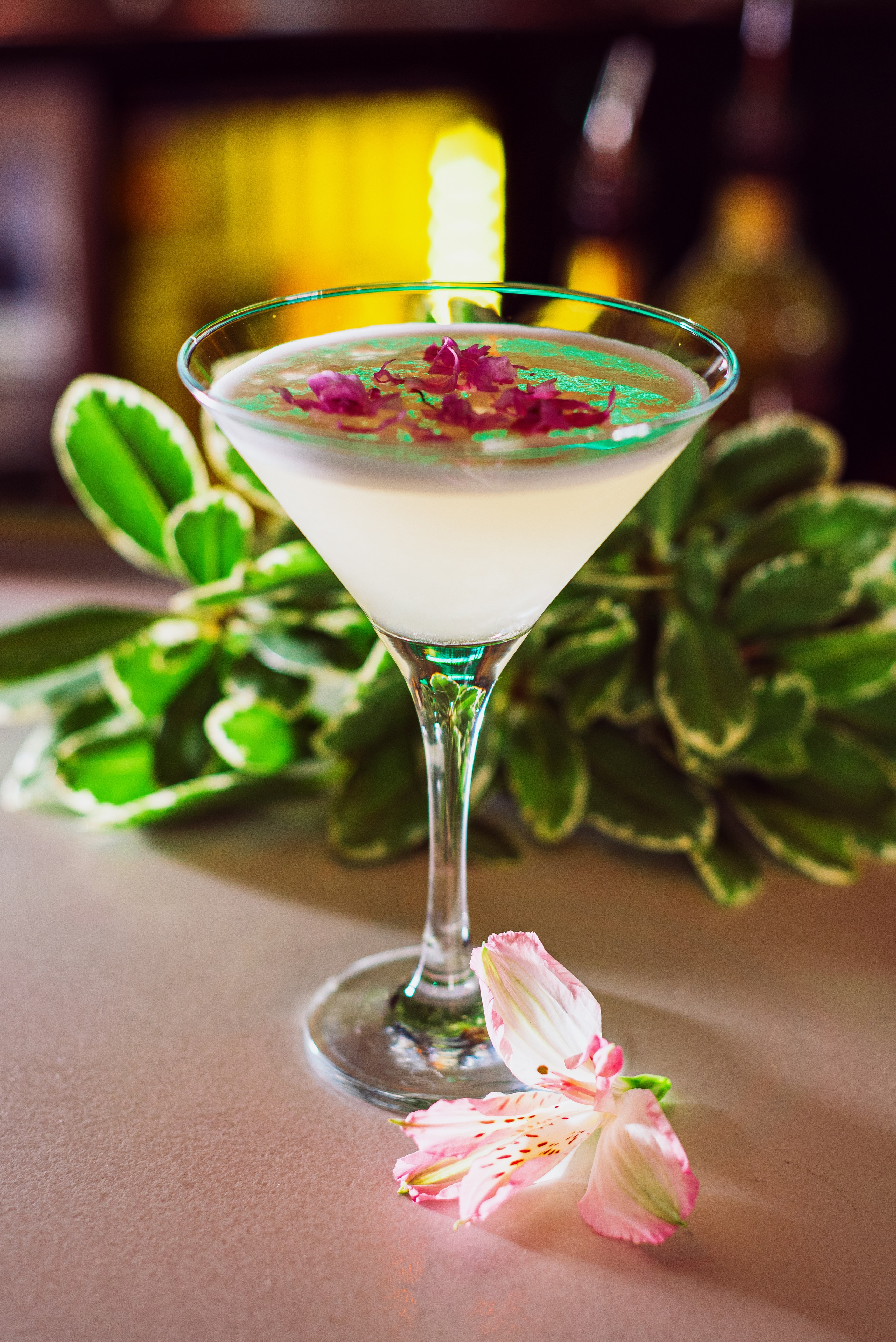 Bali Bar. Фотограф в Москве