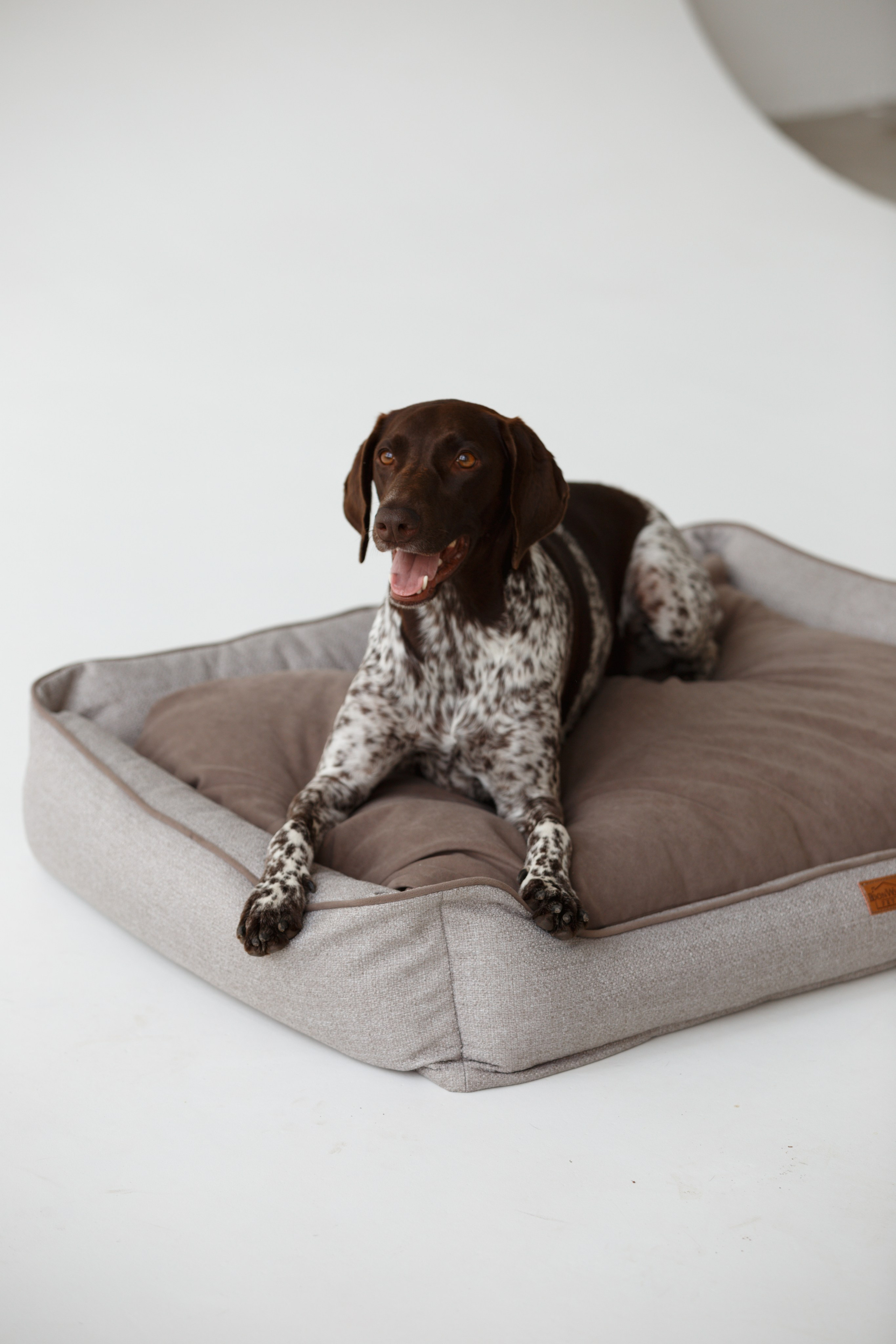 Boonwood Pets лежанки для животных. Фотограф анималист Кристина Карпова, Москва