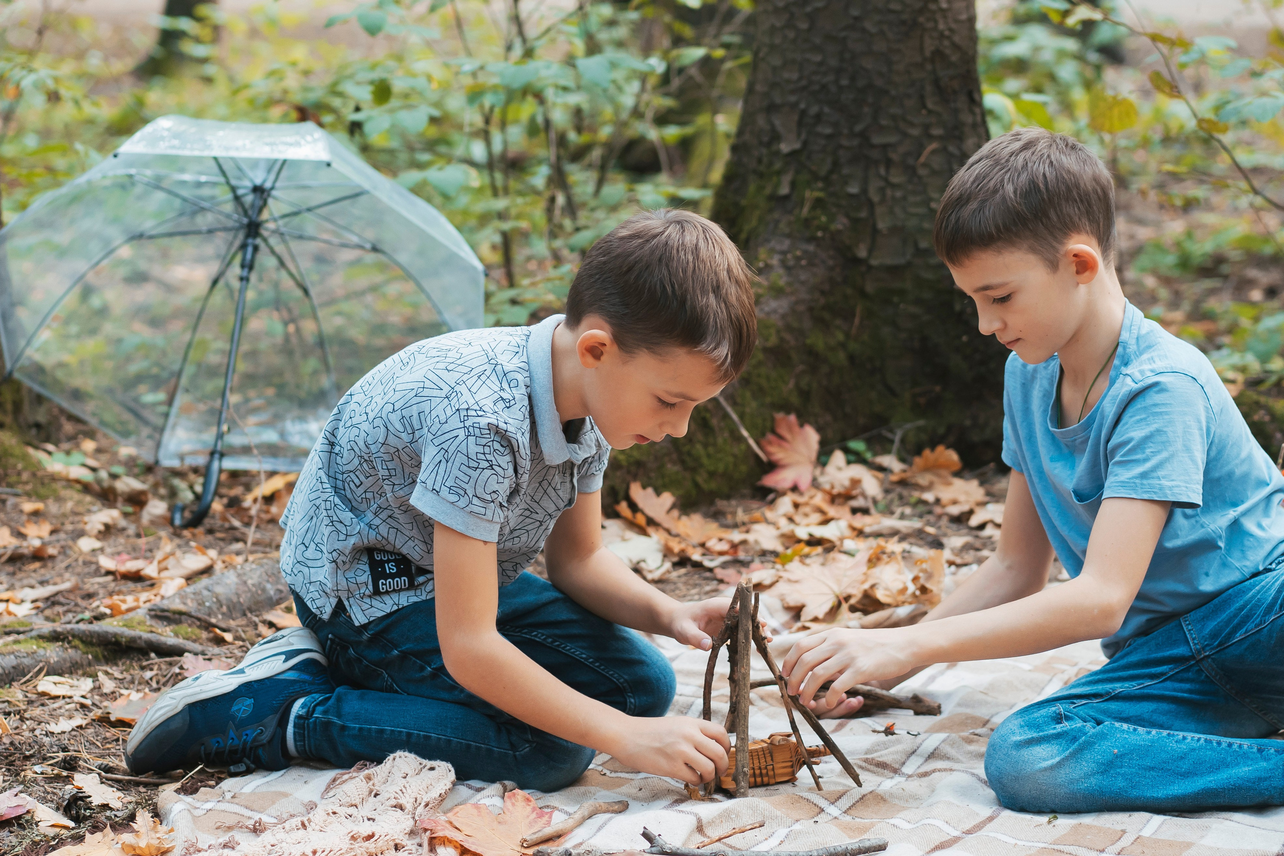 Осень в лесу. Brand photographer