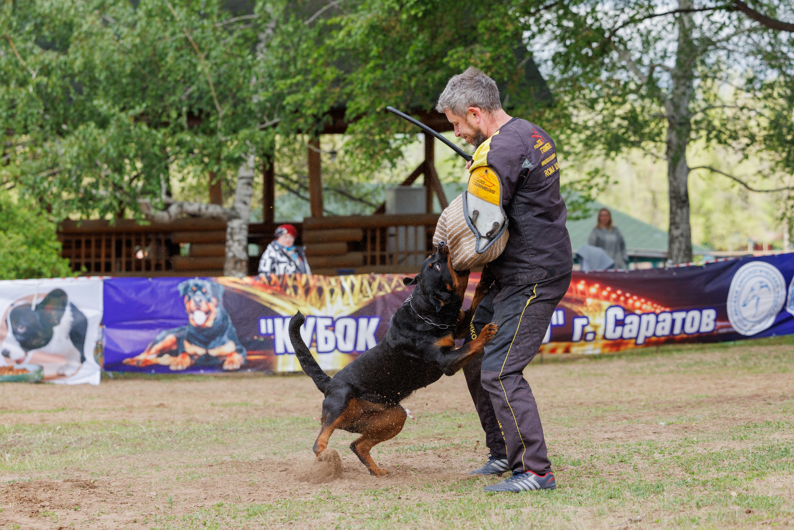 Саратов моно ротвейлеров 26-27.04.2025. Фотограф-анималист Юлия Германика