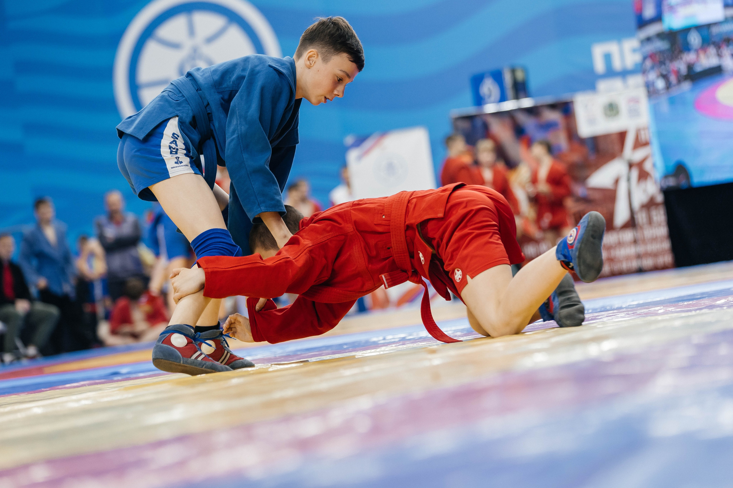 Sambo Championship. Maxim Tsoy Photography