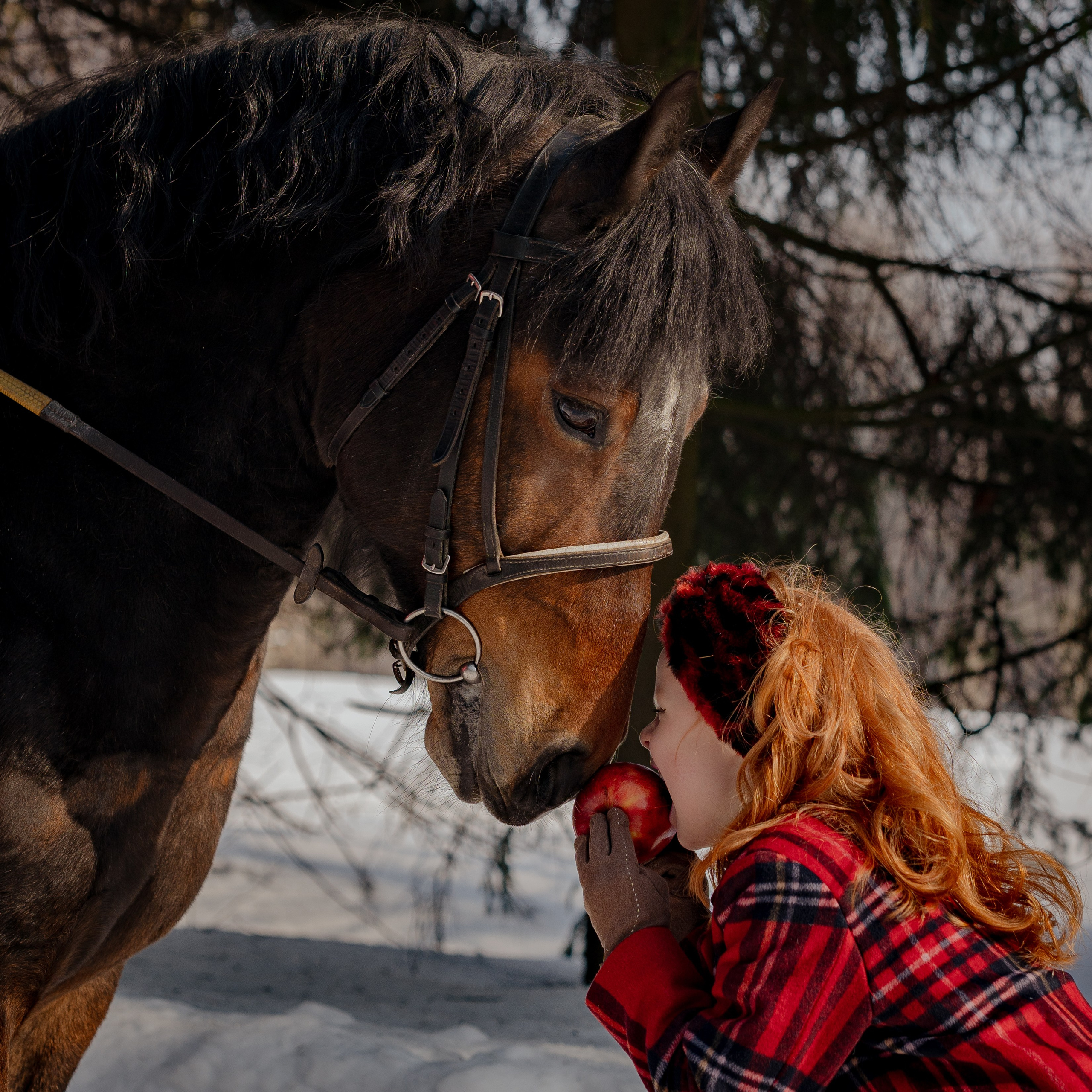 Дети. Портретный и семейный фотограф в Москве/Видное