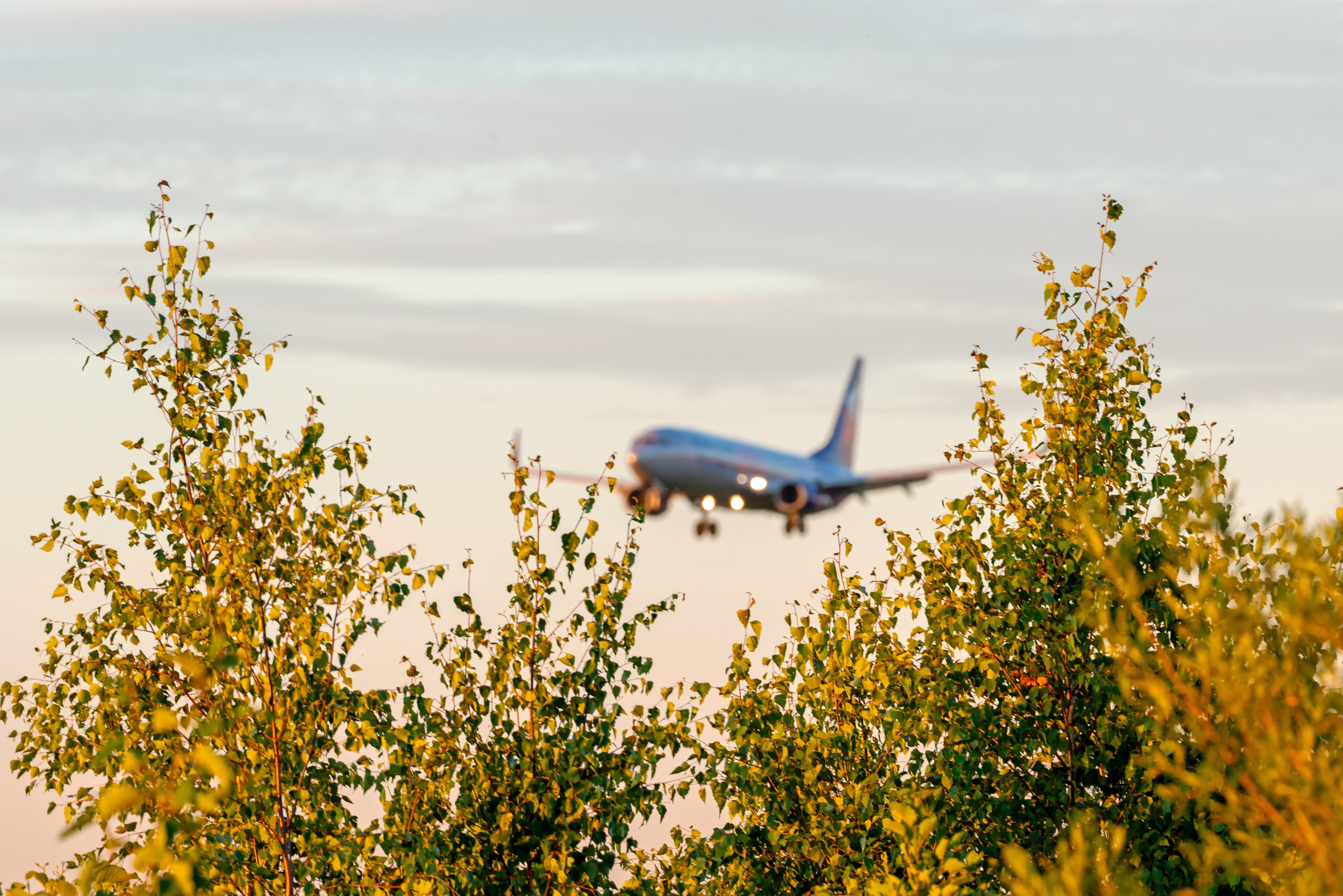 Авиация: самолеты, вертолеты, небесные зарисовки. От прошлого к будущему авиации через фотографию
