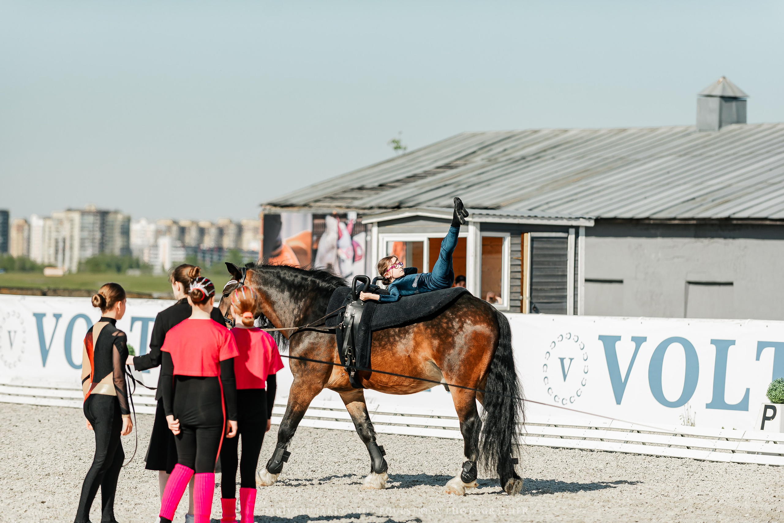 РЕПОРТАЖ МКК ВОЛЬТ «LA TULIPS». Конный фотограф Куракина Дарья • Фотосессии с лошадьми