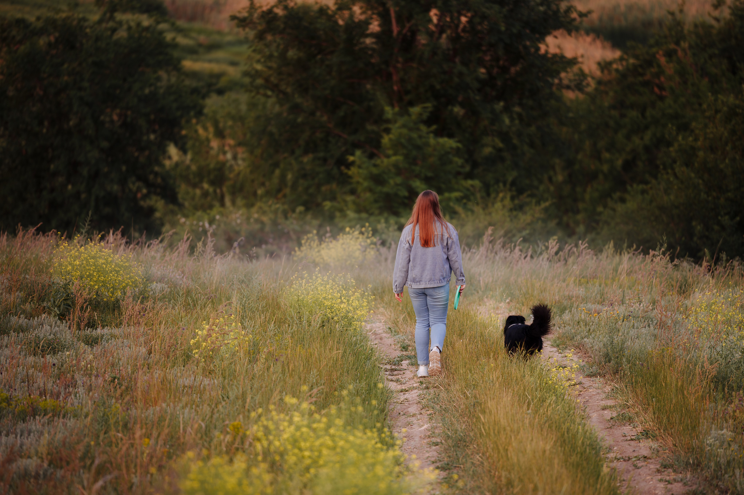 Прогулка на рассвете с бордер-колли. Фотограф в Ростове —на — Дону