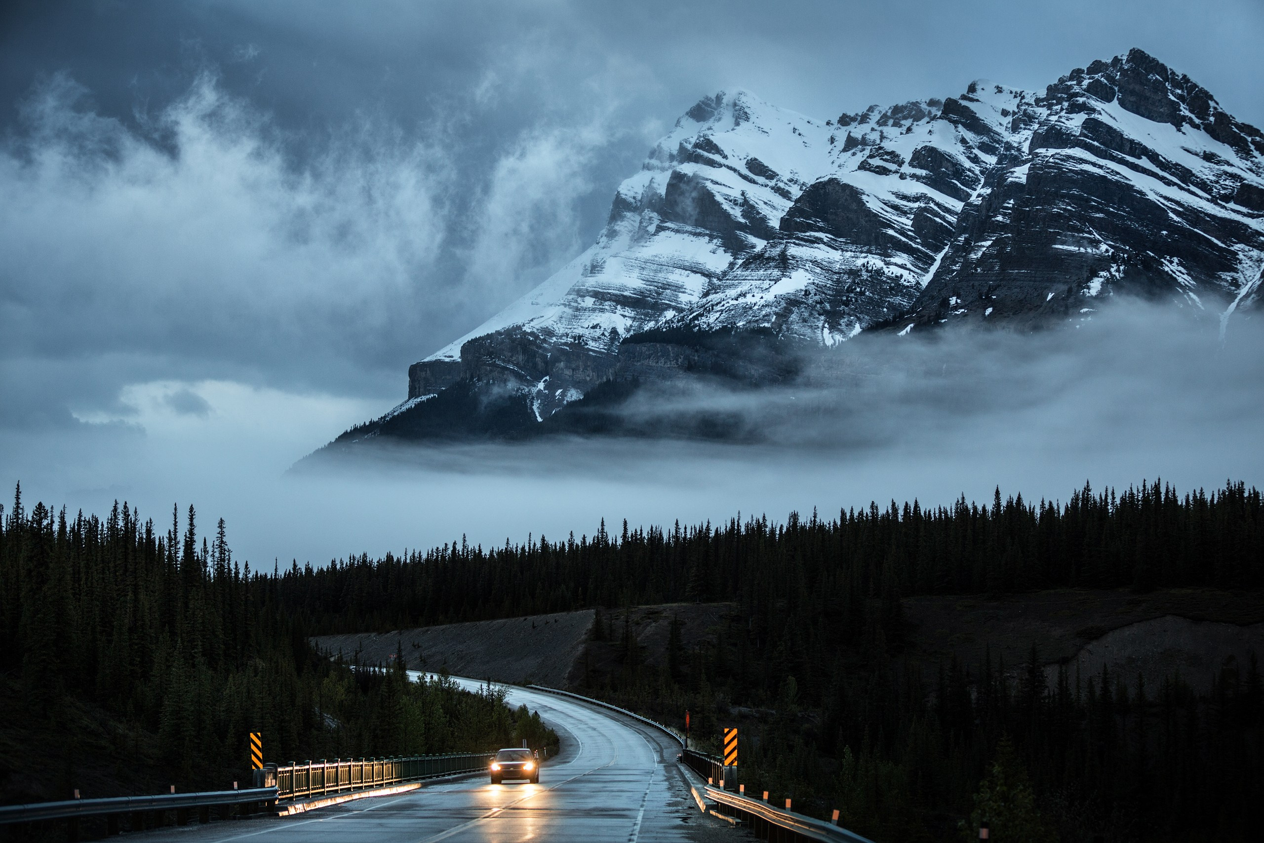 Фотограф Владимир Медведев