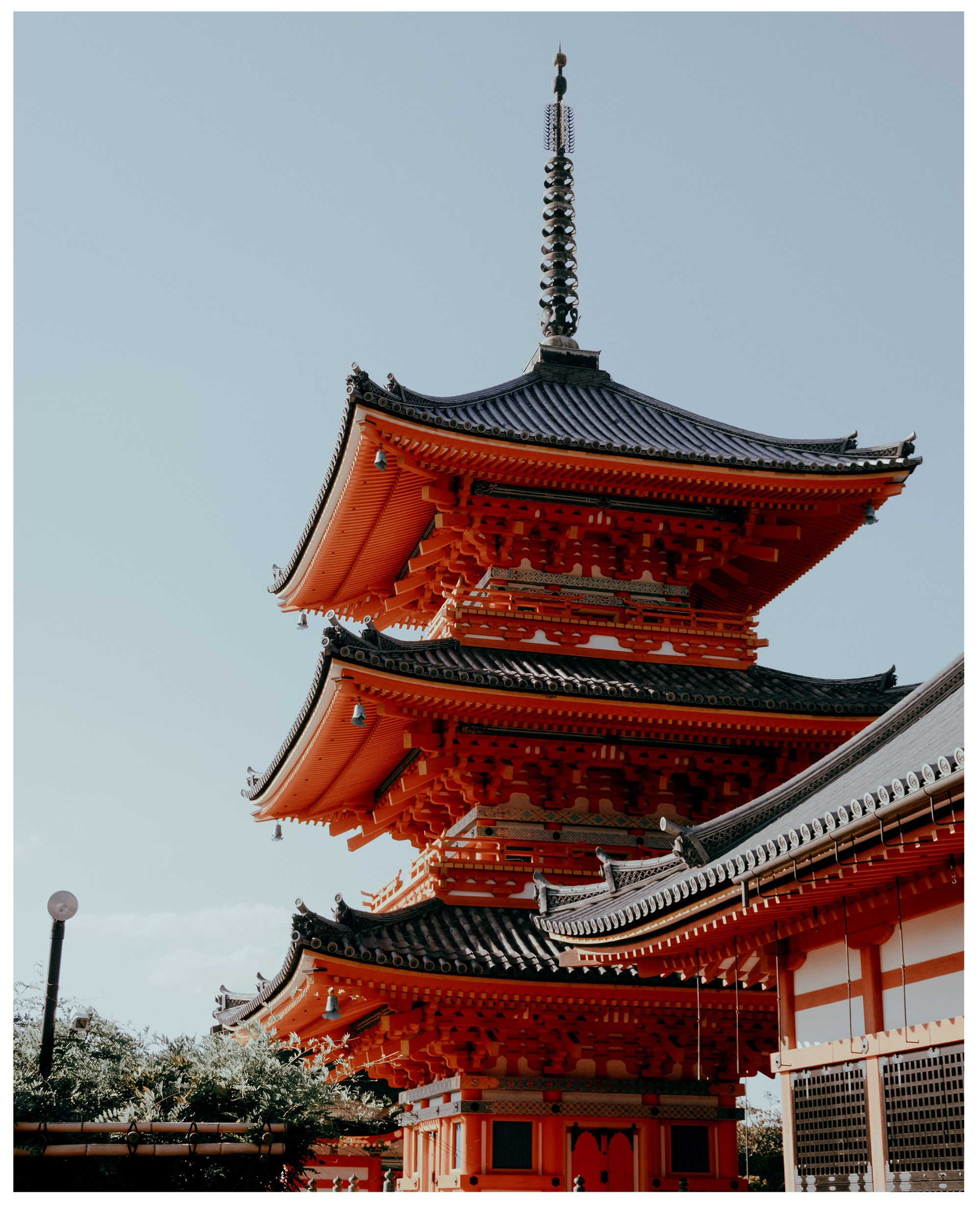 Авторские. -