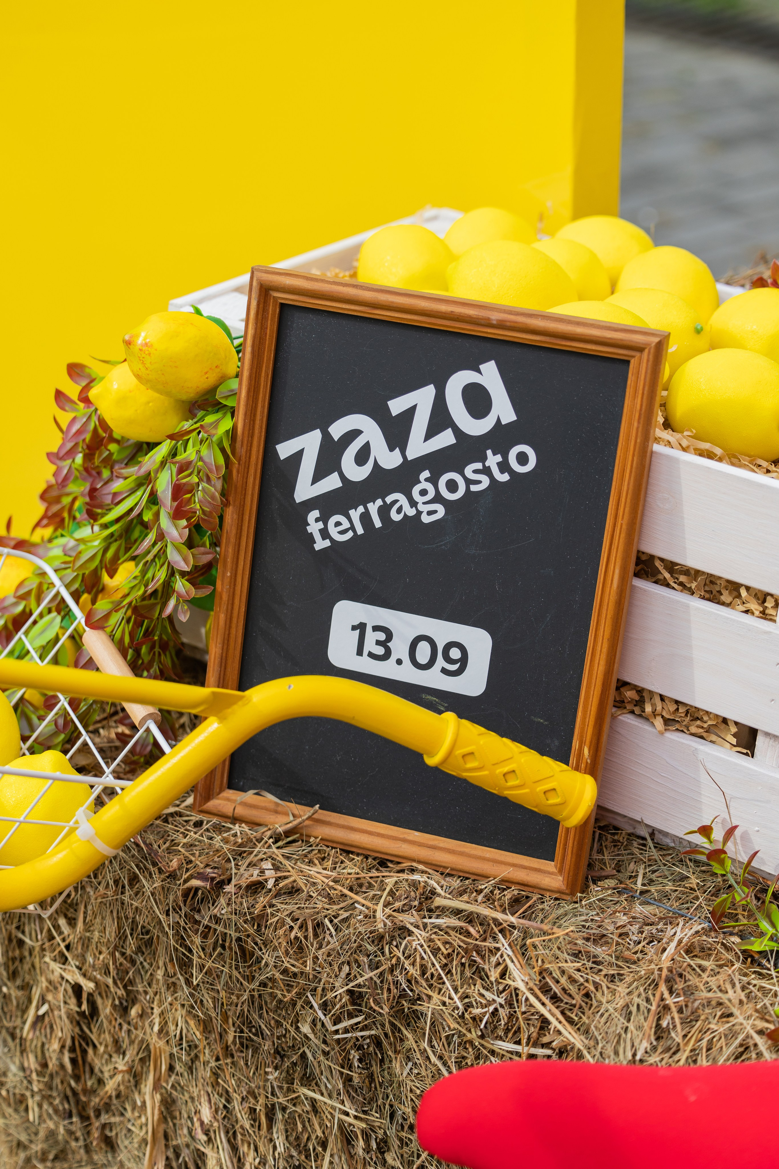 ZAZA. Выпускные альбомы во Владивостоке