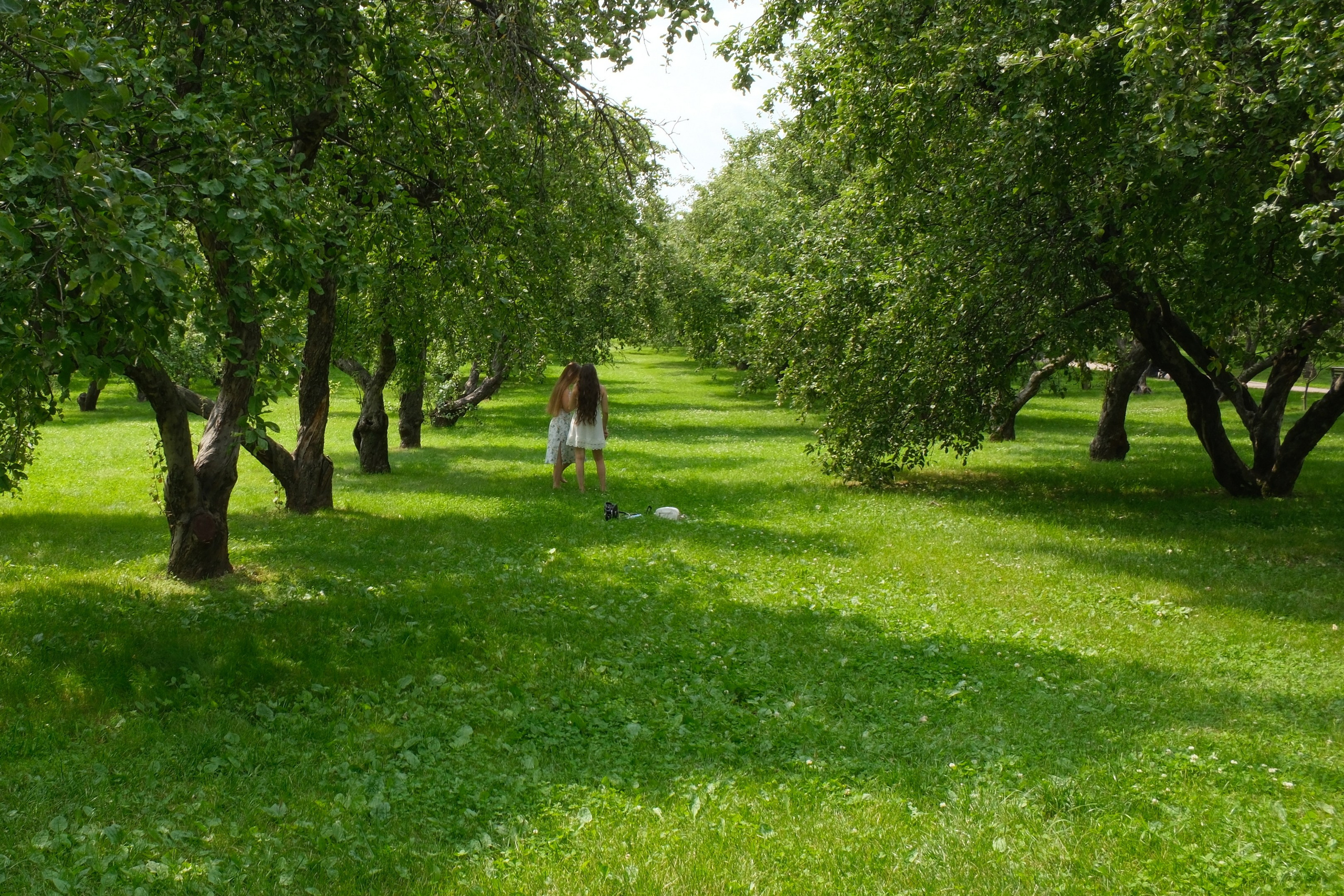 В Коломенском 07.07.2025. Улица, люди, жизнь…