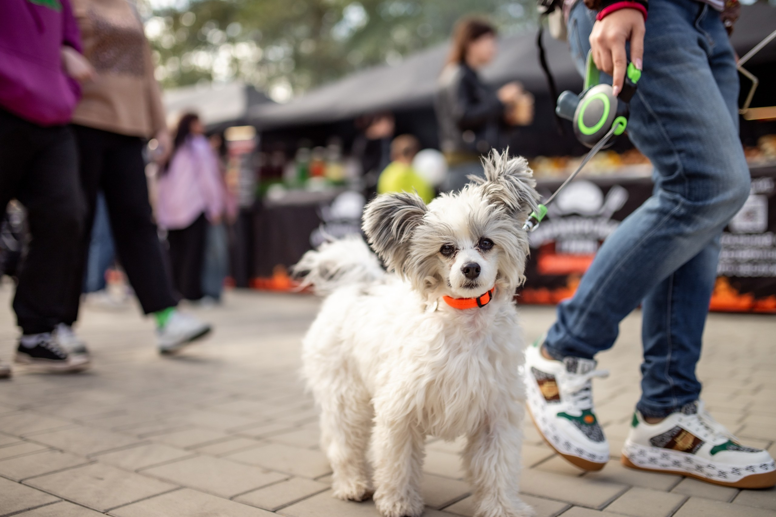 Фермерский гриль 27/09/2025. Фотограф в Краснодаре Алена Горбунова