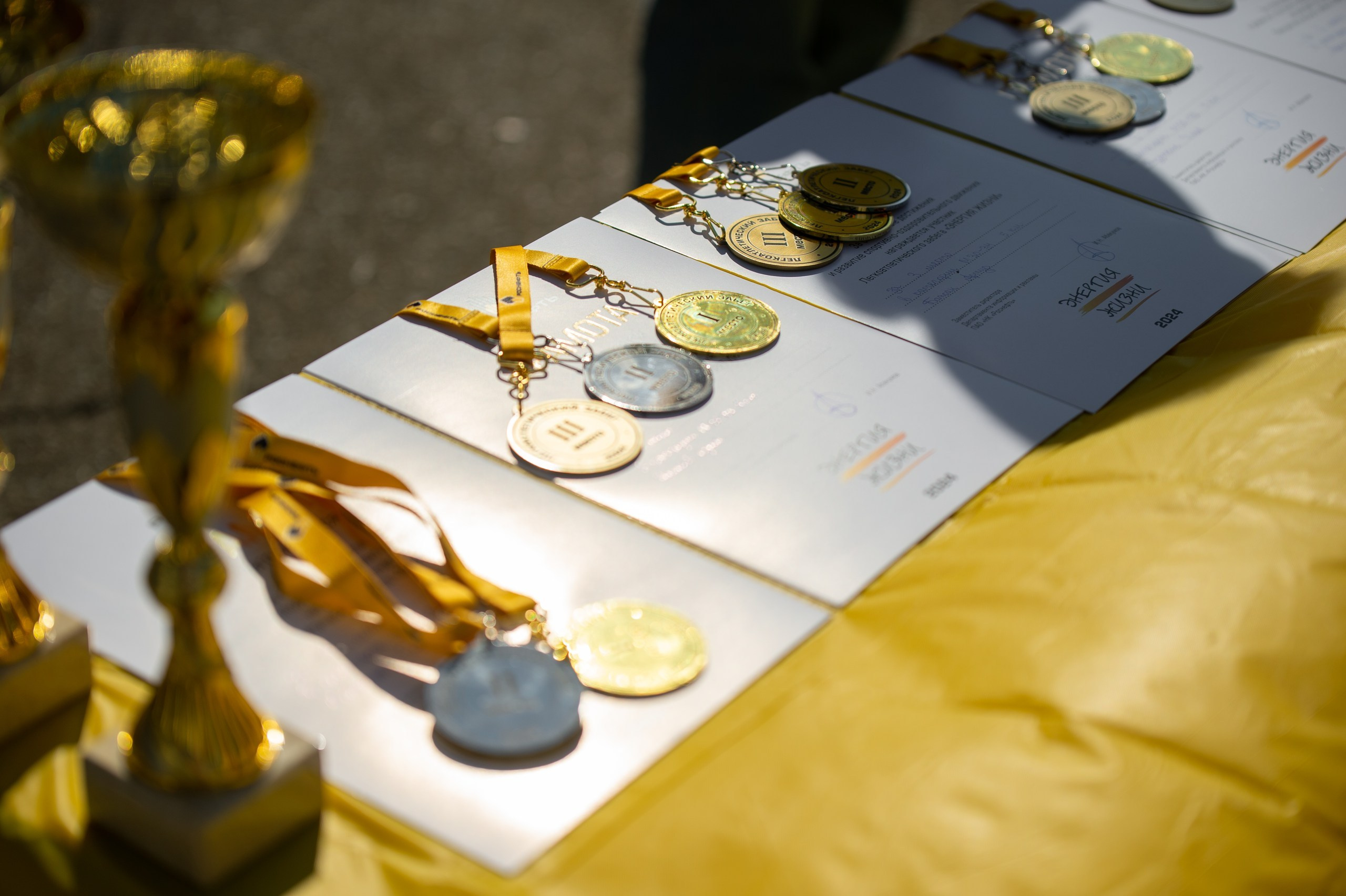 Роснефть «Энергия жизни» Краснодар 12/10/24. Фотограф в Краснодаре Алена Горбунова