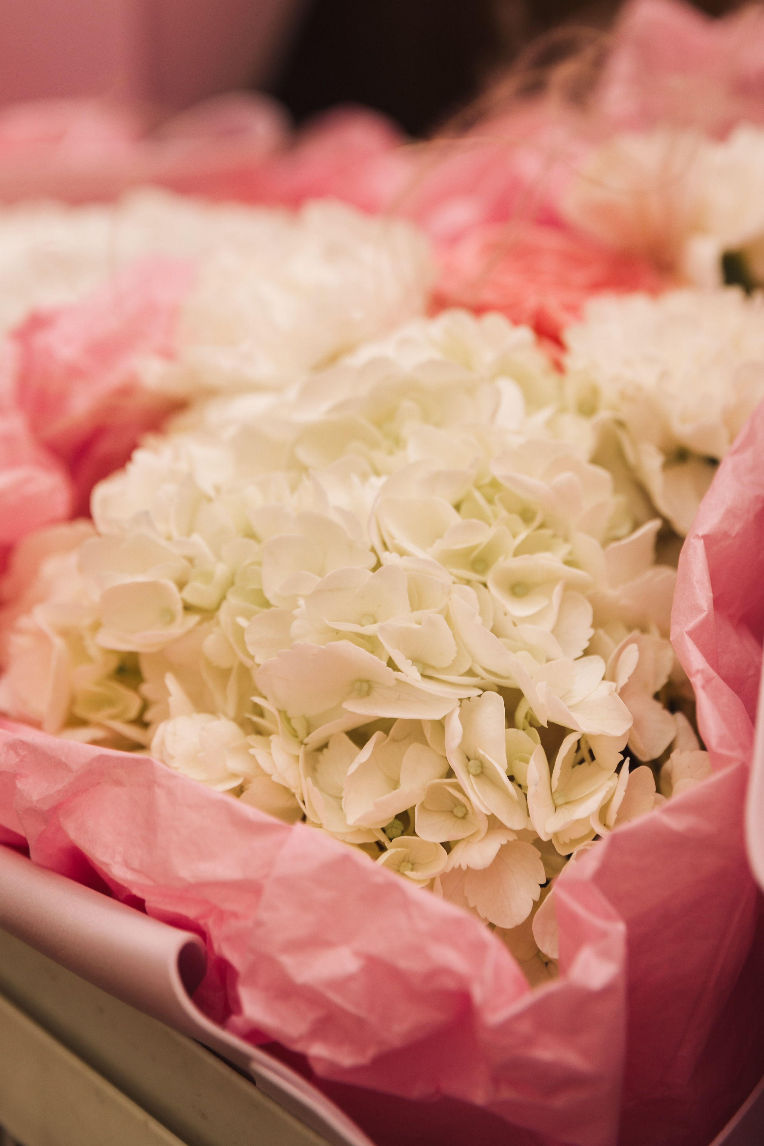 Конференция «Женское здоровье» Нововоронеж. Фотограф Воронеж, Новая Усмань Мария Бублик