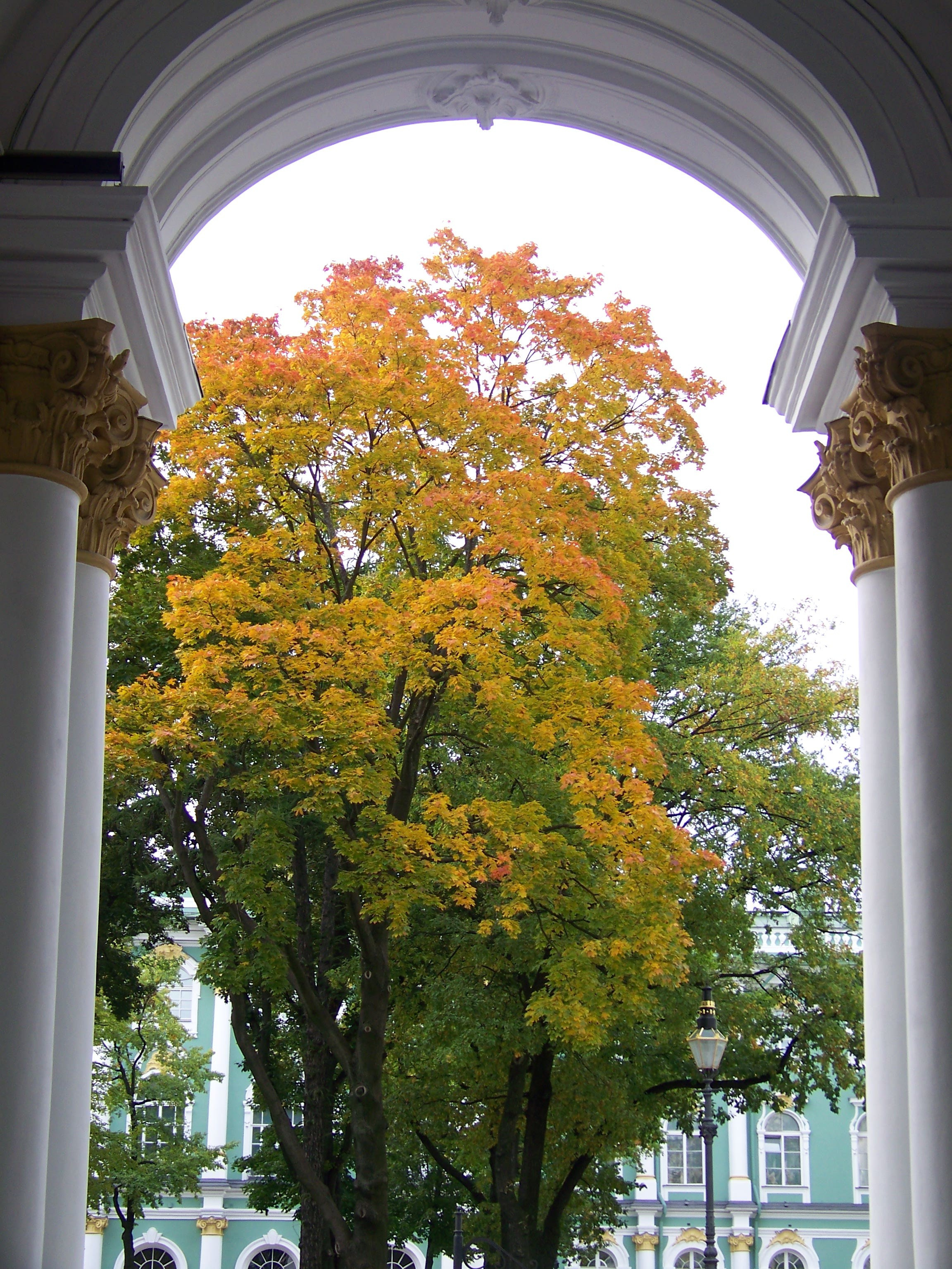 Пазлы. Фотохудожник Татьяна Бойцова