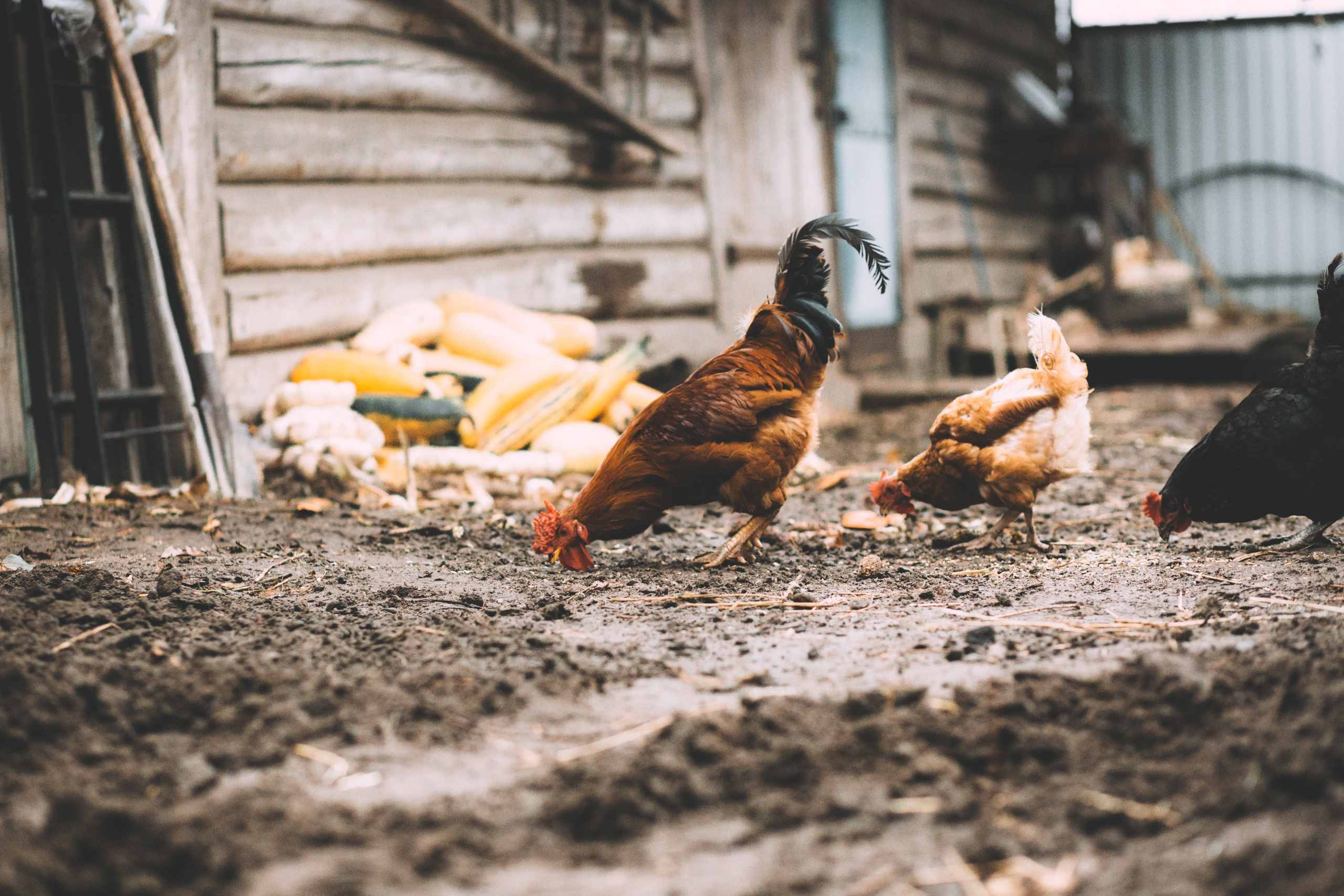 PROJECTS. Nastya Marchenko — based in Moscow Art and Documentary photographer. Works with memory, revelation, vulnerability & human states worldwide