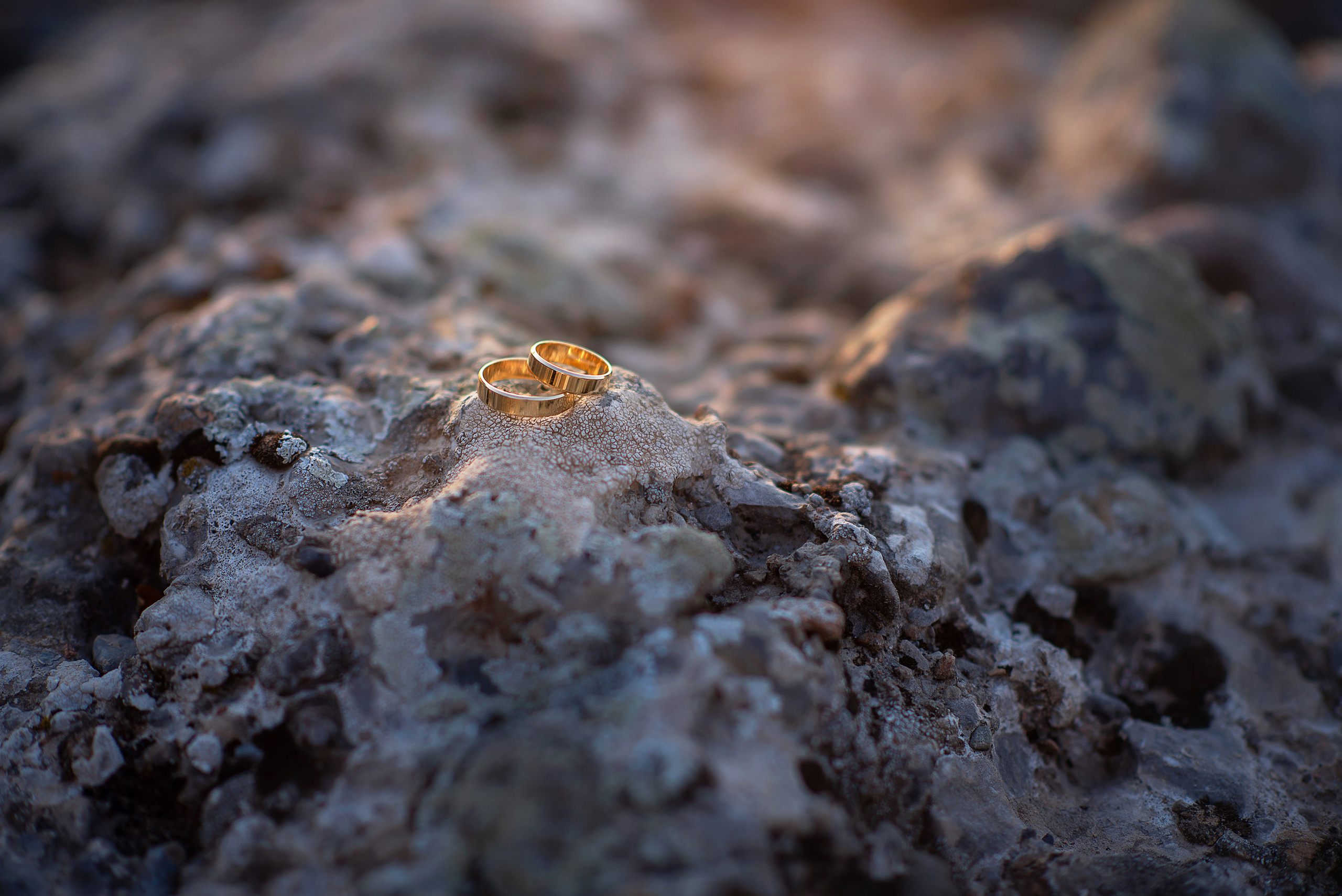 Свадебная фотография. Творческая команда Ульяшевы, свадебная и семейная фотография. Кахахста