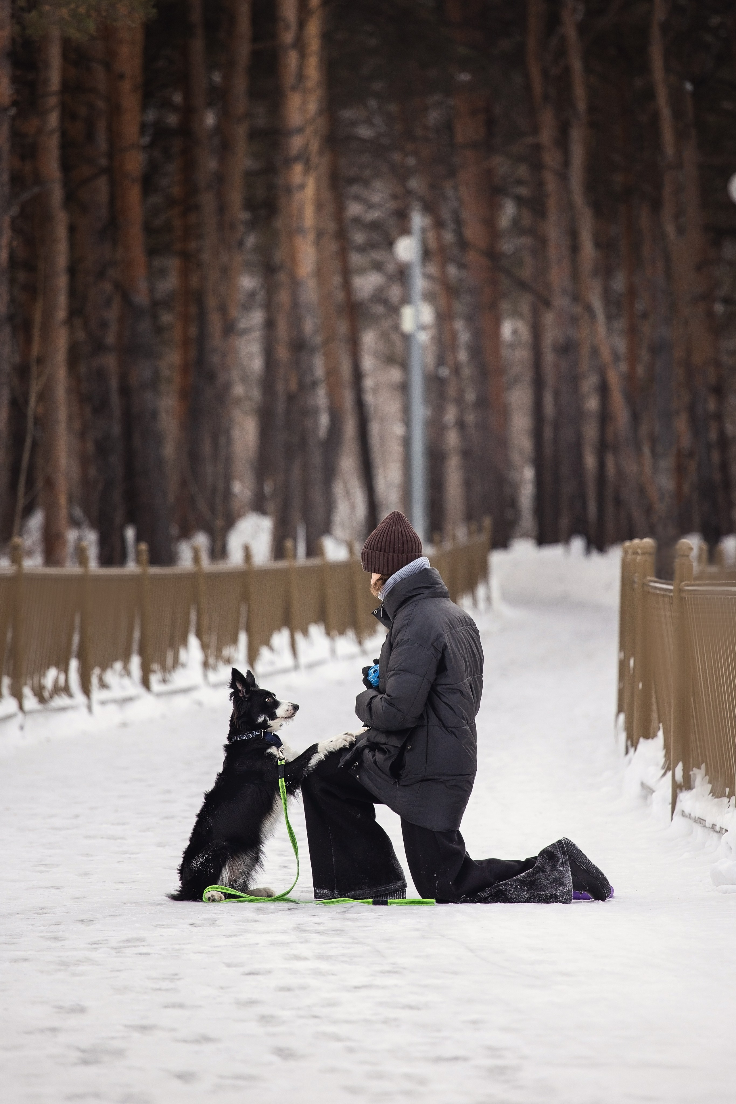 Арина и Грейс. YULA KOLESOVA | Фотограф — Анималист | Художник | Тюмень