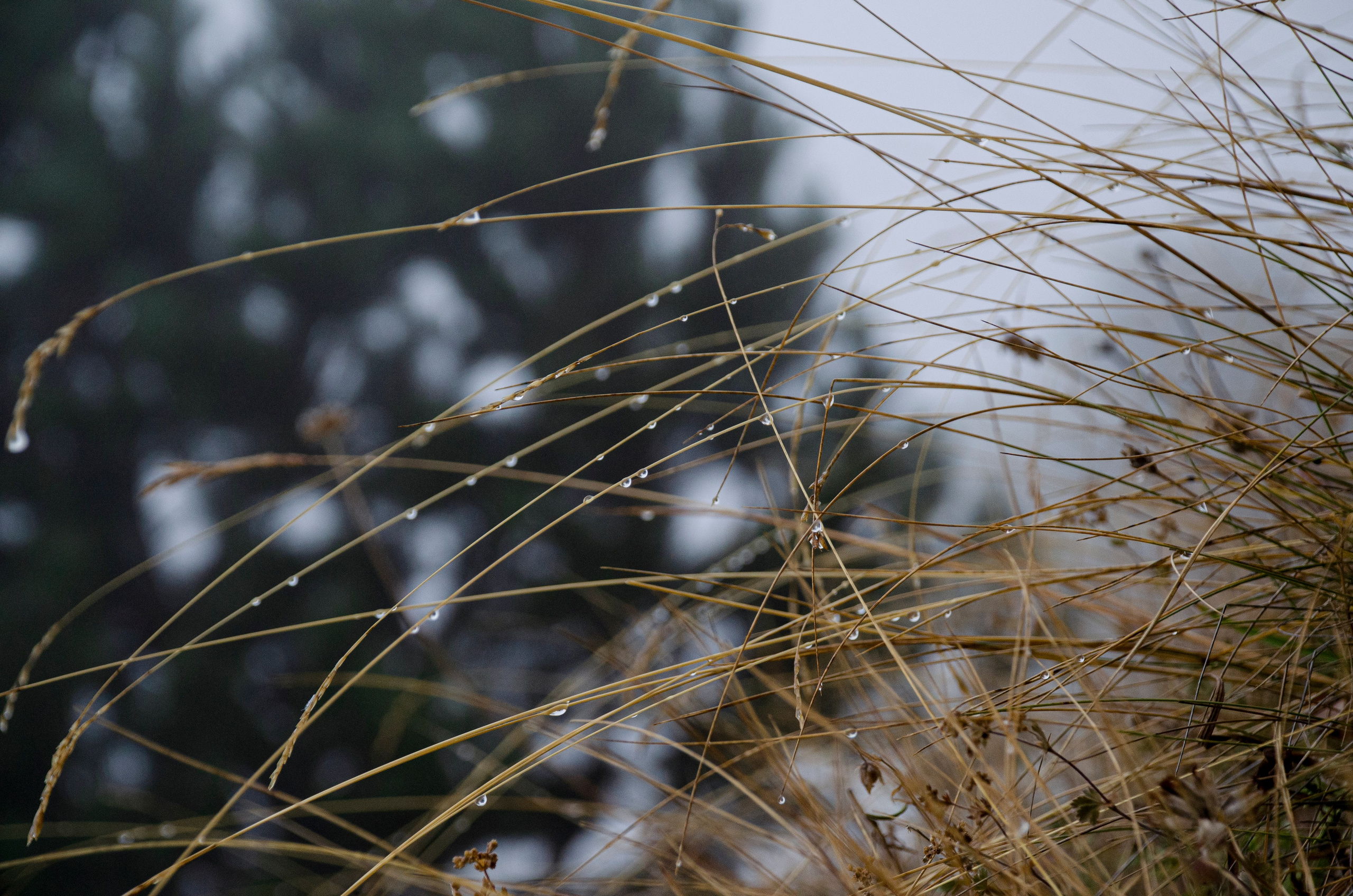 Природа. Фотограф Владимир Охрименко