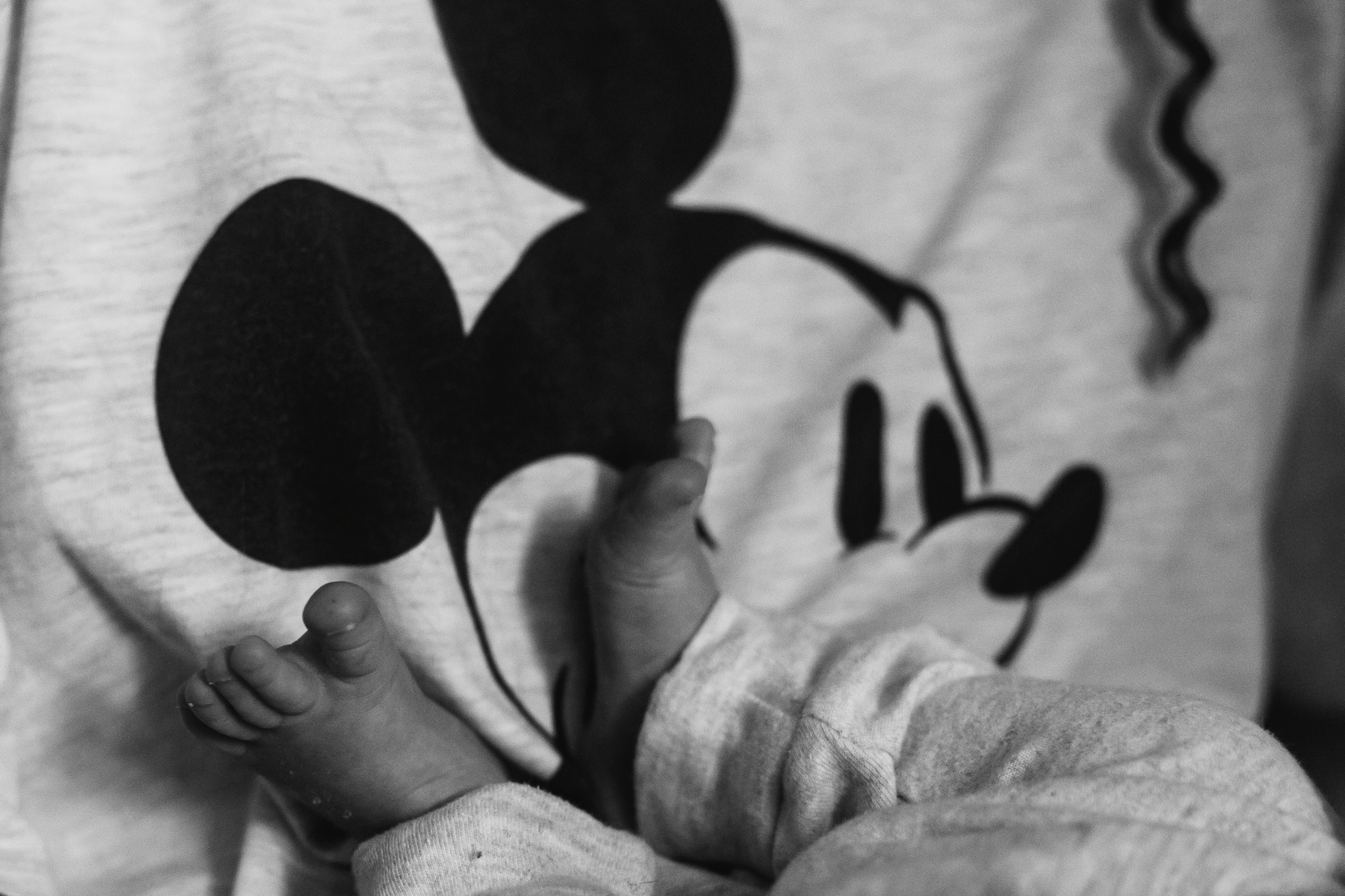 Божена+Паша+Янчик. Семейный фотограф в Минске Саша Павлюк