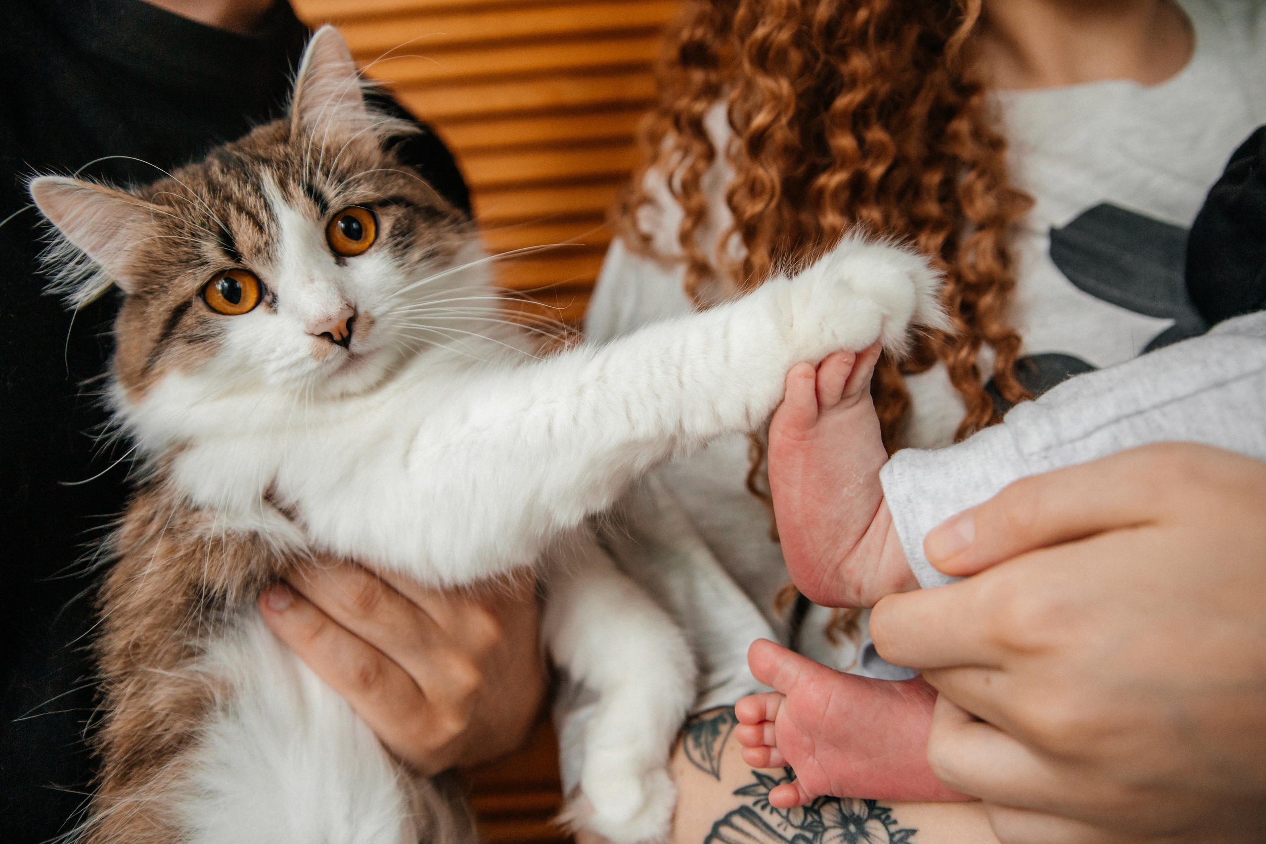 Божена+Паша+Янчик. Семейный фотограф в Минске Саша Павлюк