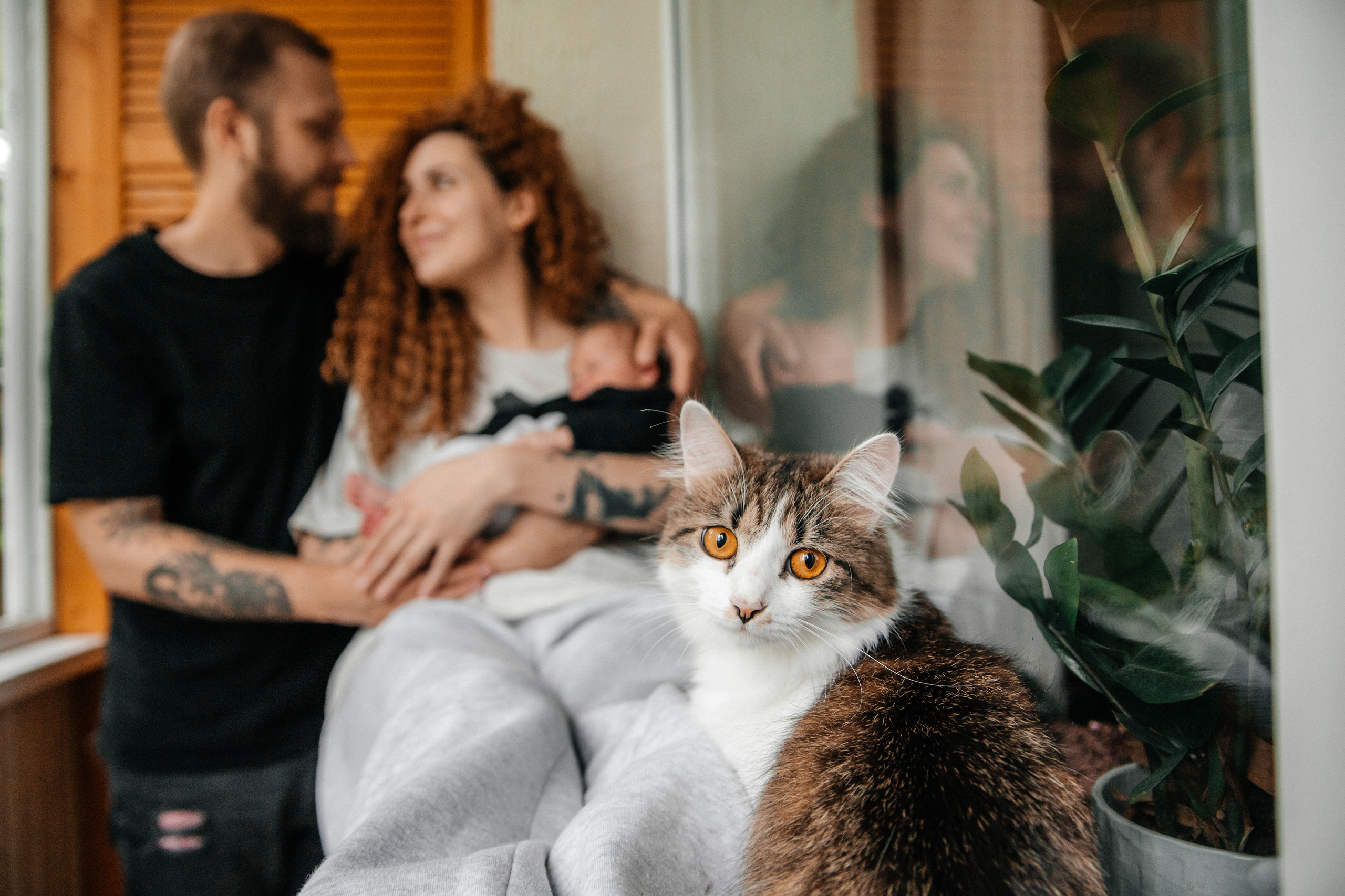 Божена+Паша+Янчик. Семейный фотограф в Минске Саша Павлюк