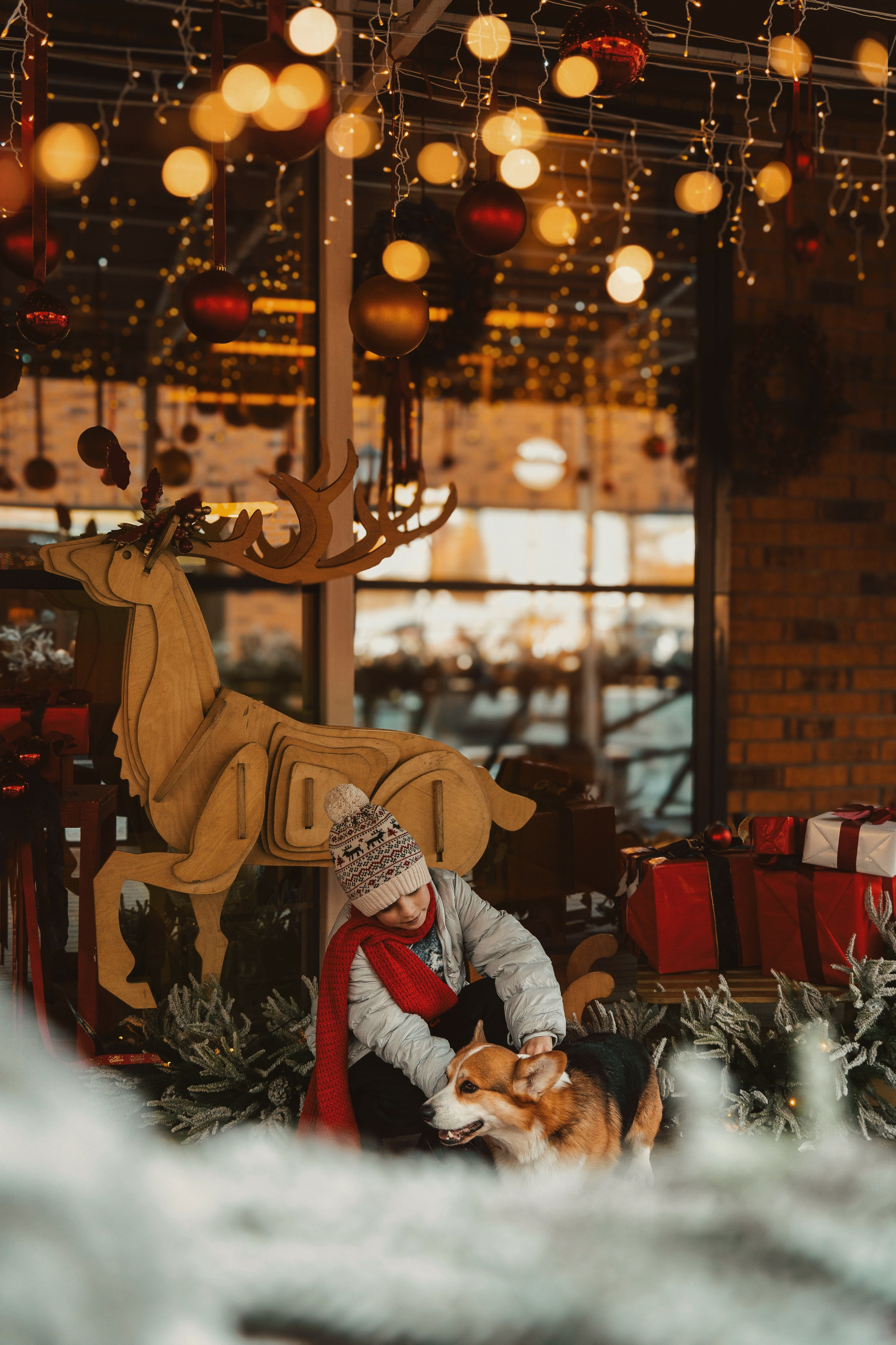 Один дома. Семейный фотограф анималист г. Находка