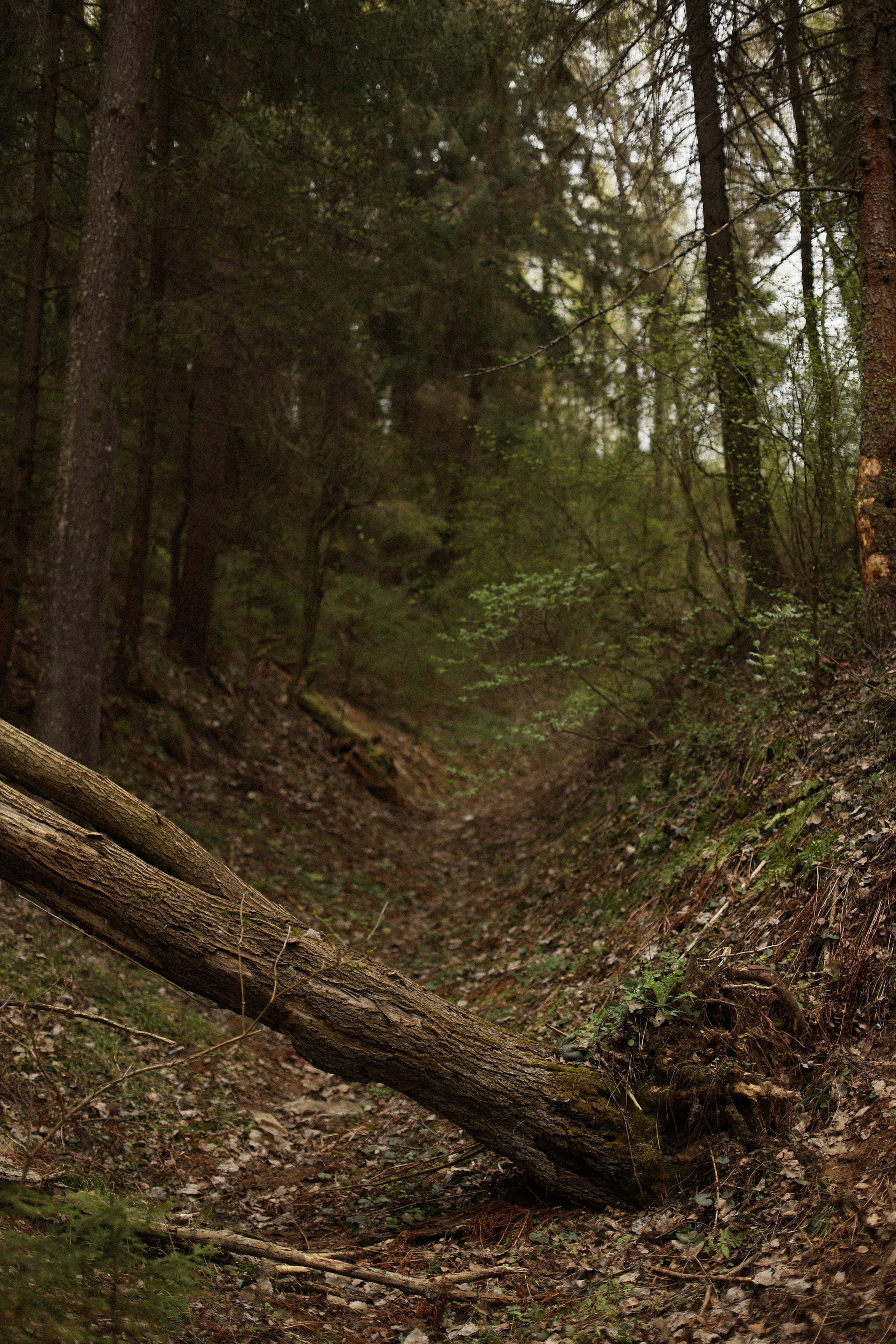 Чувствую твое тепло. Фотограф — Ольга Косолюкина