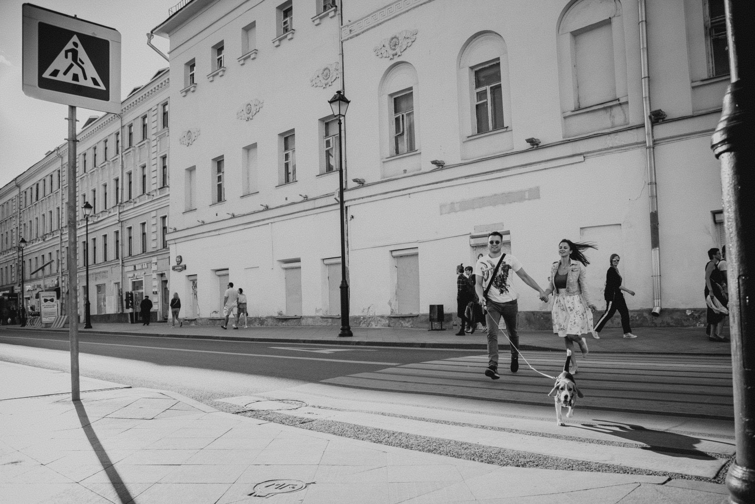 Фотосессия с собакой. Фотограф Москва