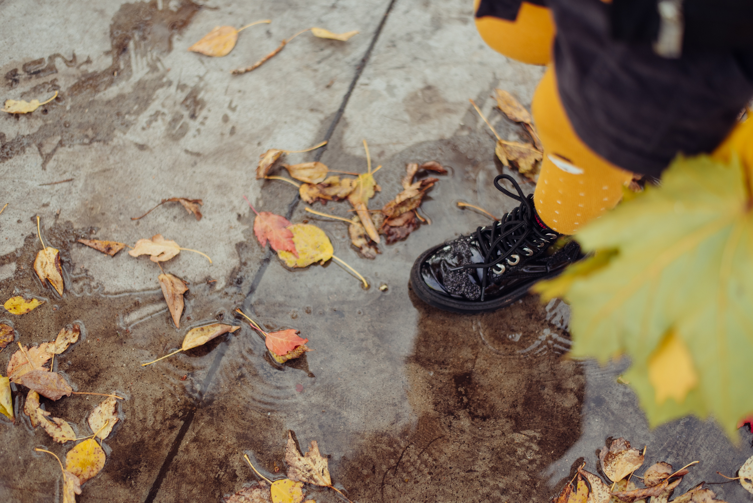 Семейная фотопрогулка летом. Фотограф Москва