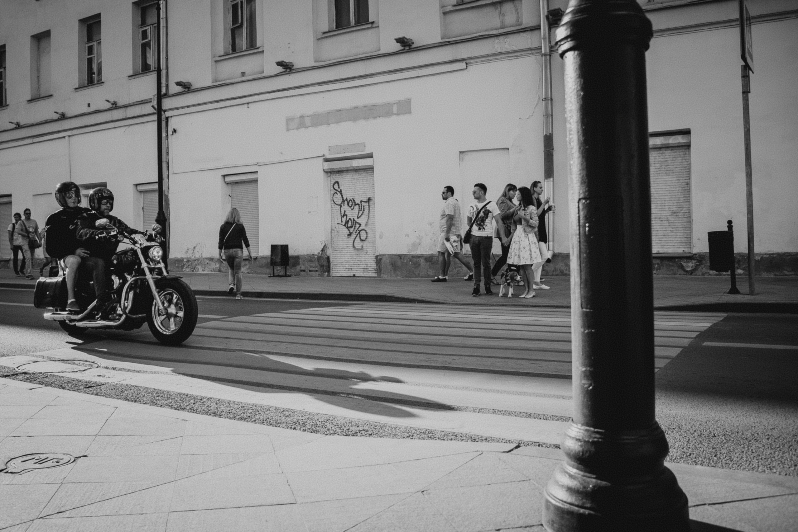 Фотосессия с собакой. Фотограф Москва