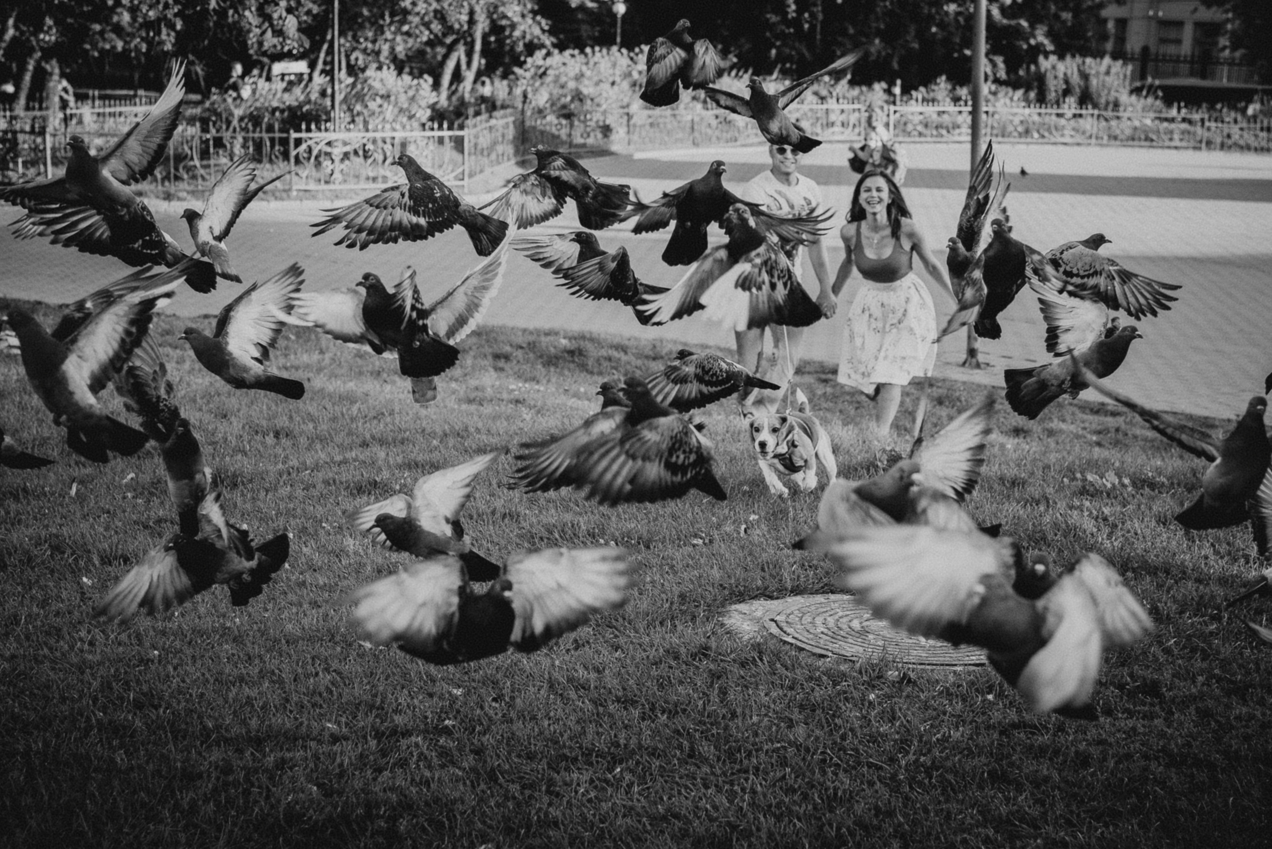 Фотосессия с собакой. Фотограф Москва