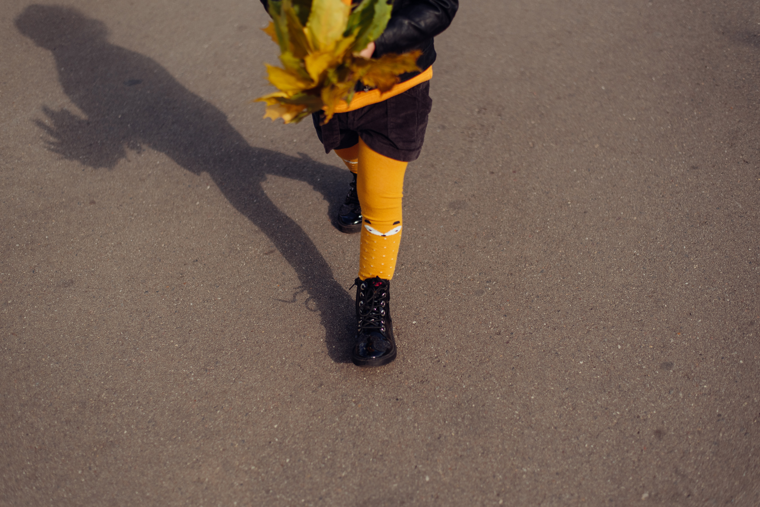 Семейная фотопрогулка летом. Фотограф Москва